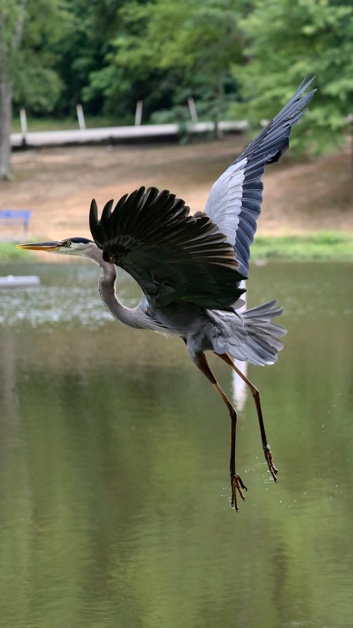 First impressions of 100-400mm lens