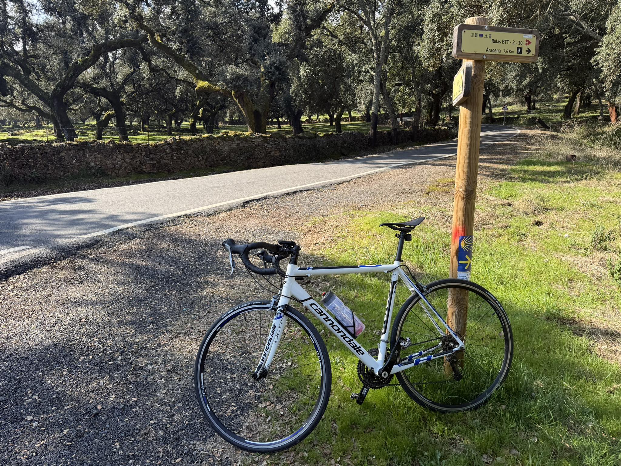 Bike Rack Cannondale Caad8 Tiagra 2014' Cannondale CAAD8-6 TIAGRA