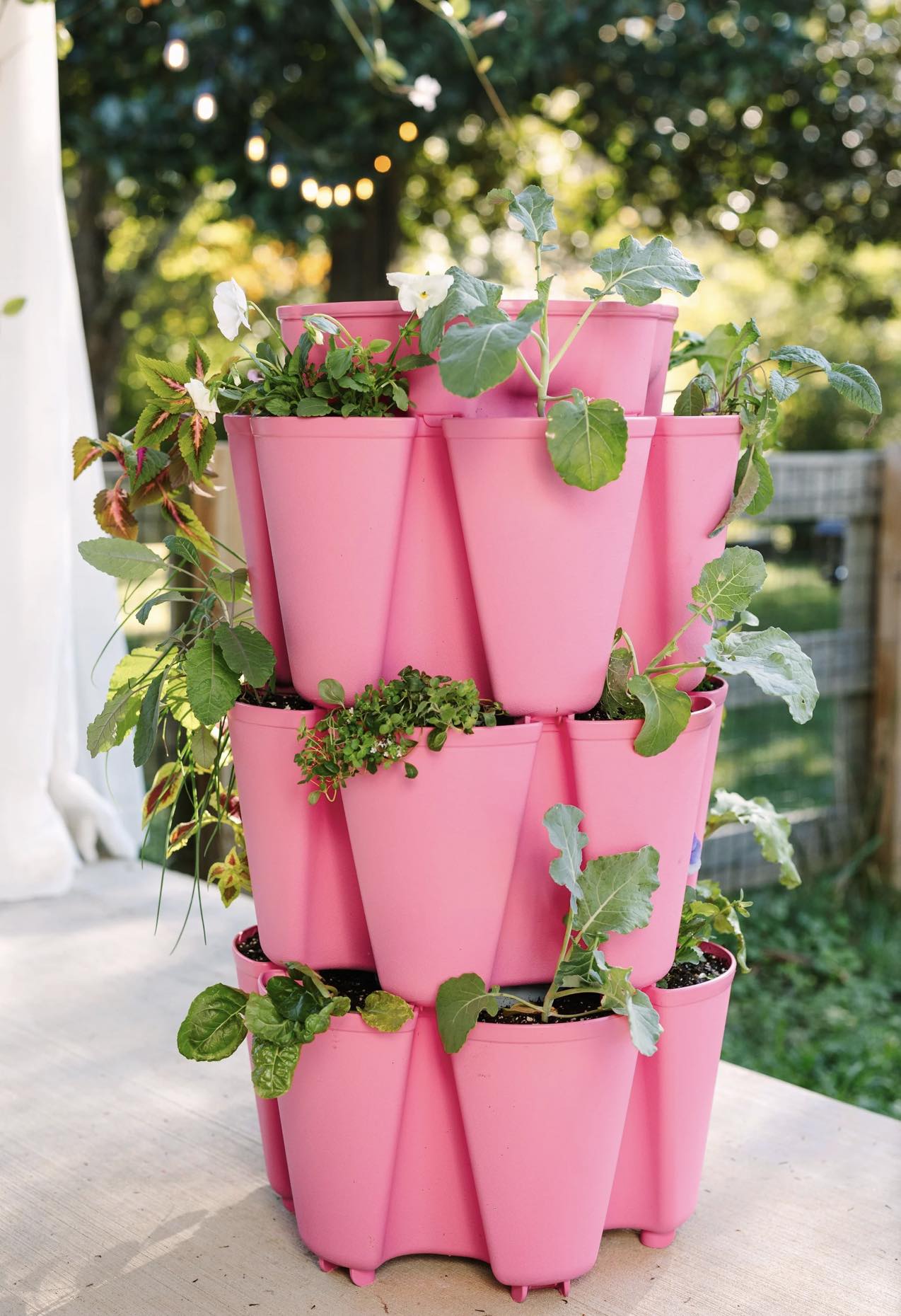 ✨ GreenStalks 12 days of Christmas is here ✨ Check here daily  display picture 1