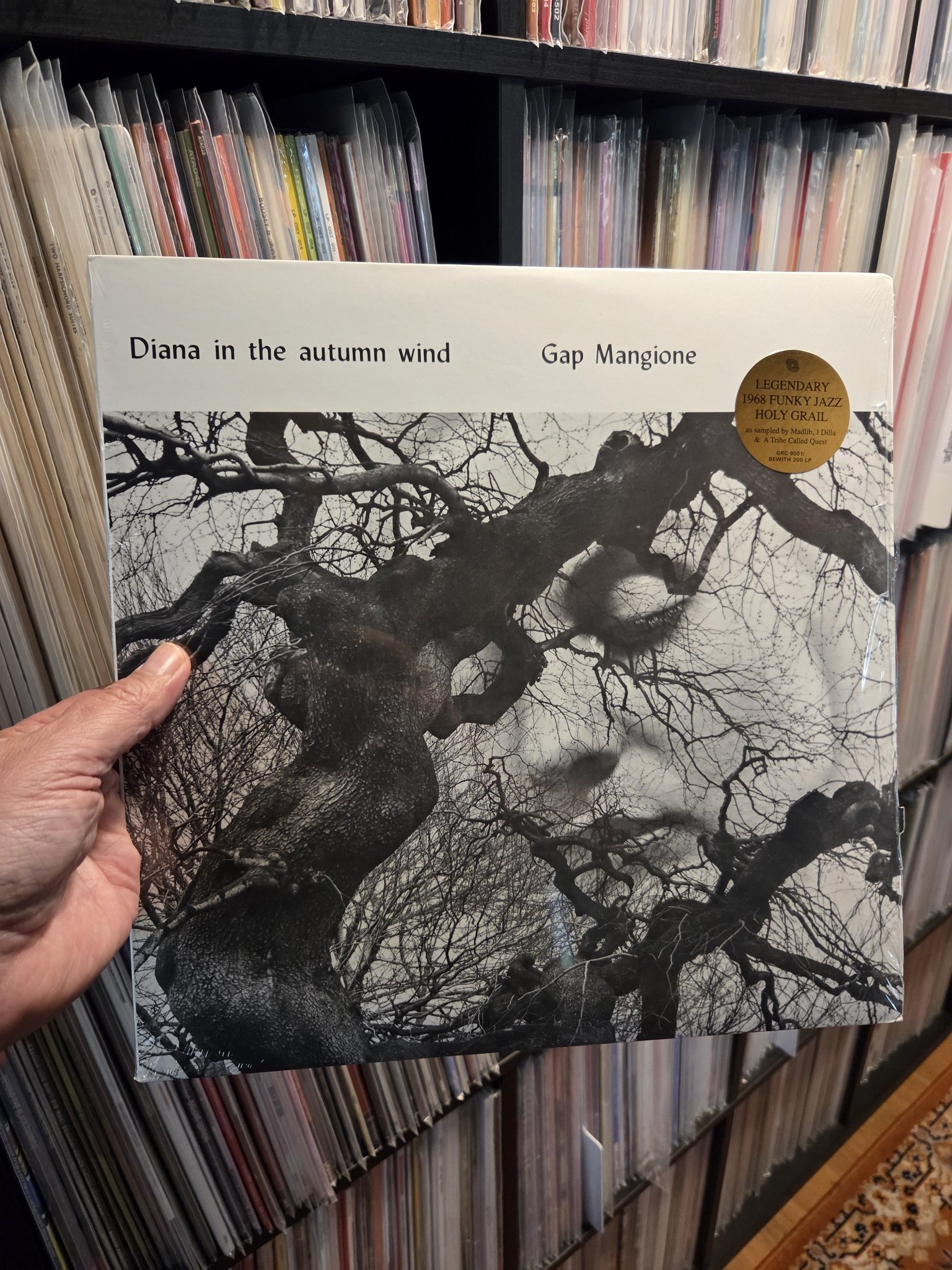 Gap Mangione discusses Diana in the Autumn Wind on Jazz90.1