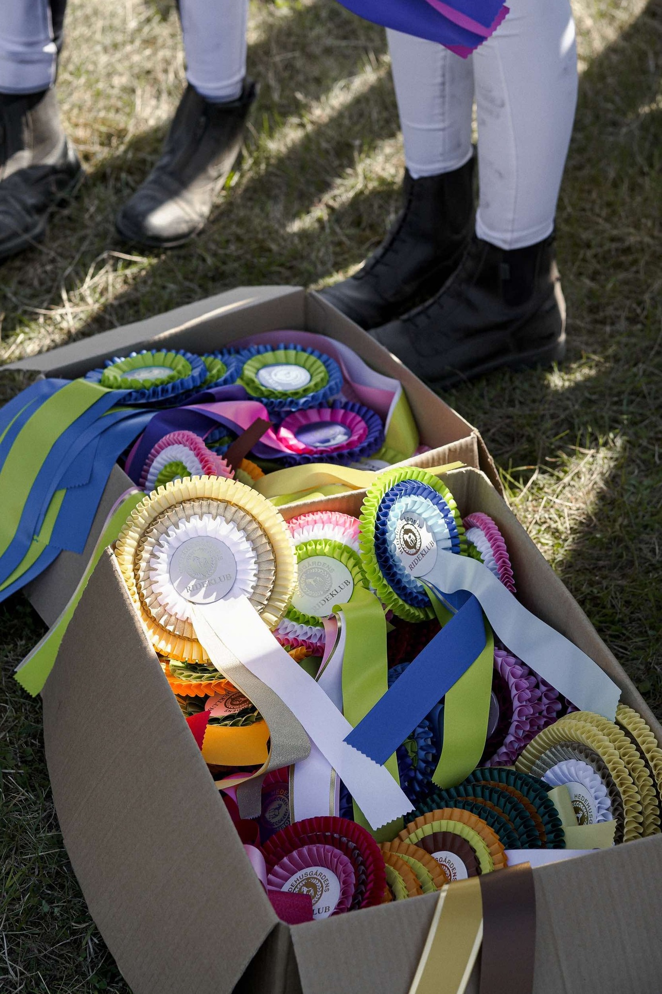 Hedehusgårdens Rideklub HGRK - aktiviteter og stævner | Facebook