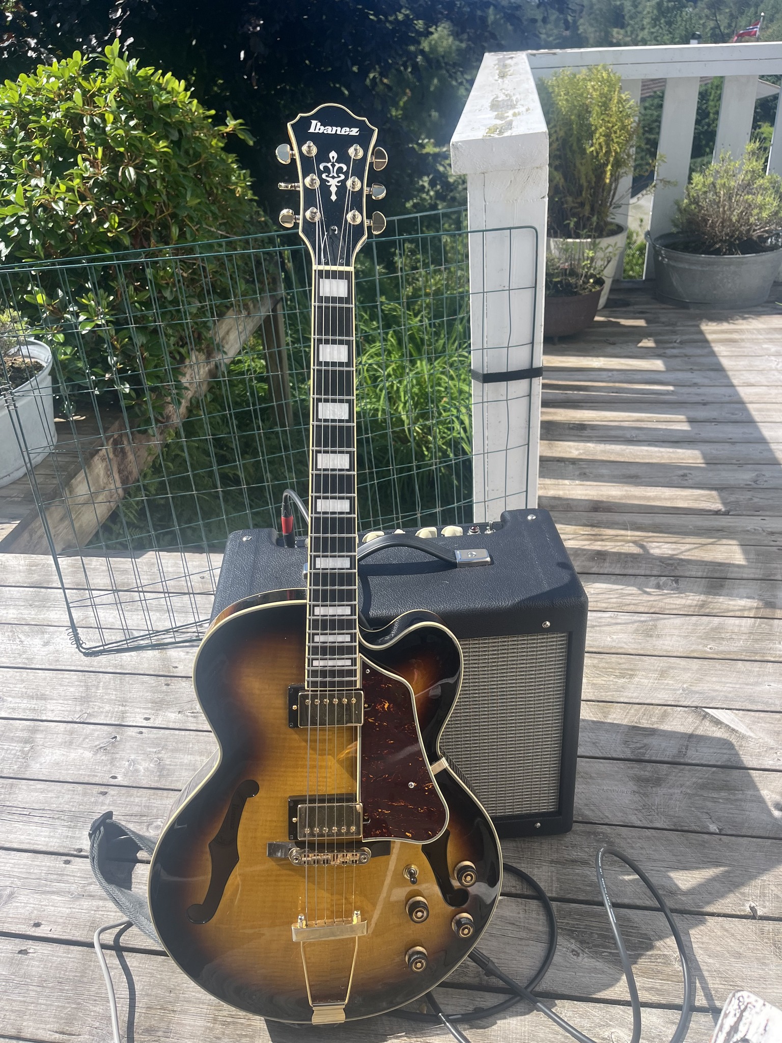 IBANEZ AF95-VLS-12-01 My guitar