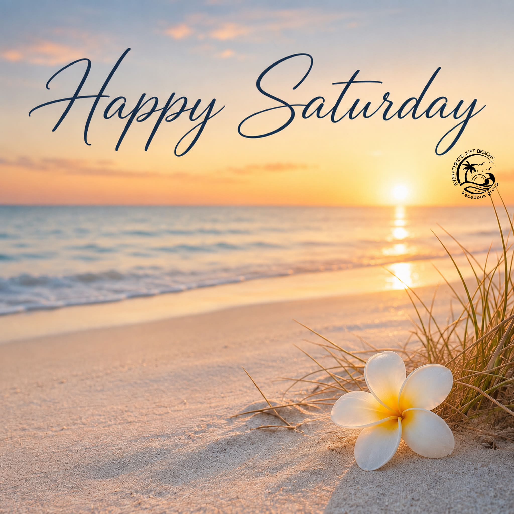 Have a great day everyone 🌞🌞