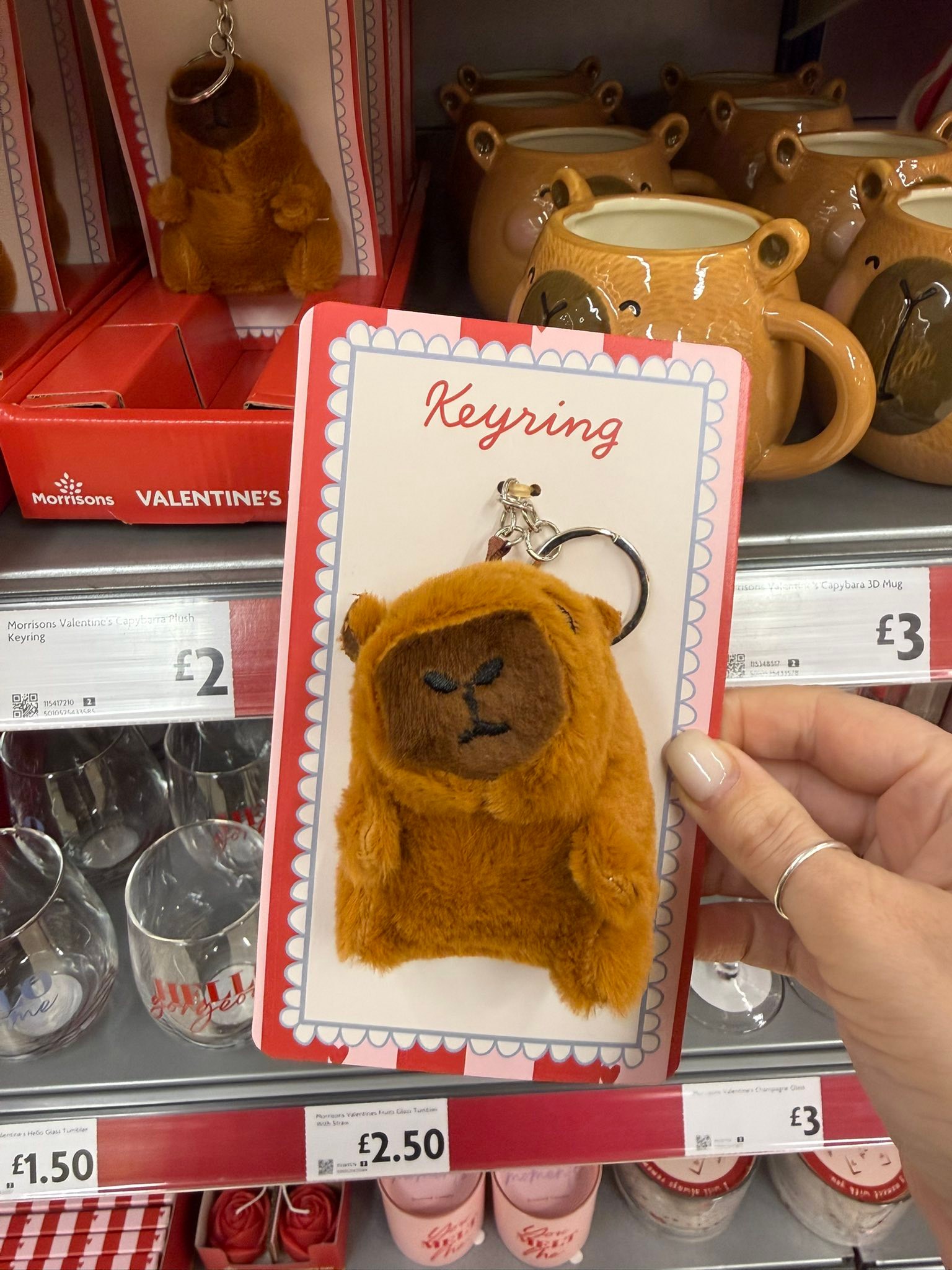 Valentine's Capybara range from £1 at Morrisons 🤎