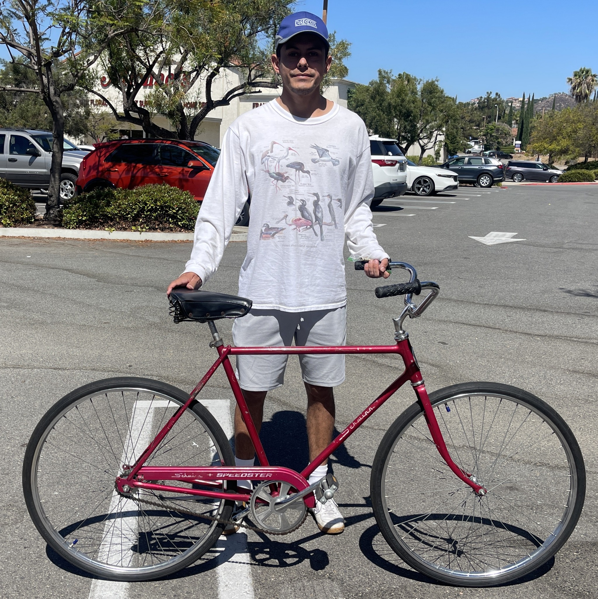 schwinn speedster bicycle 1965 3-Speed Sturmey Archer Red Bike Vintage  Pocatello Market Just acquired this 1973 Schwinn