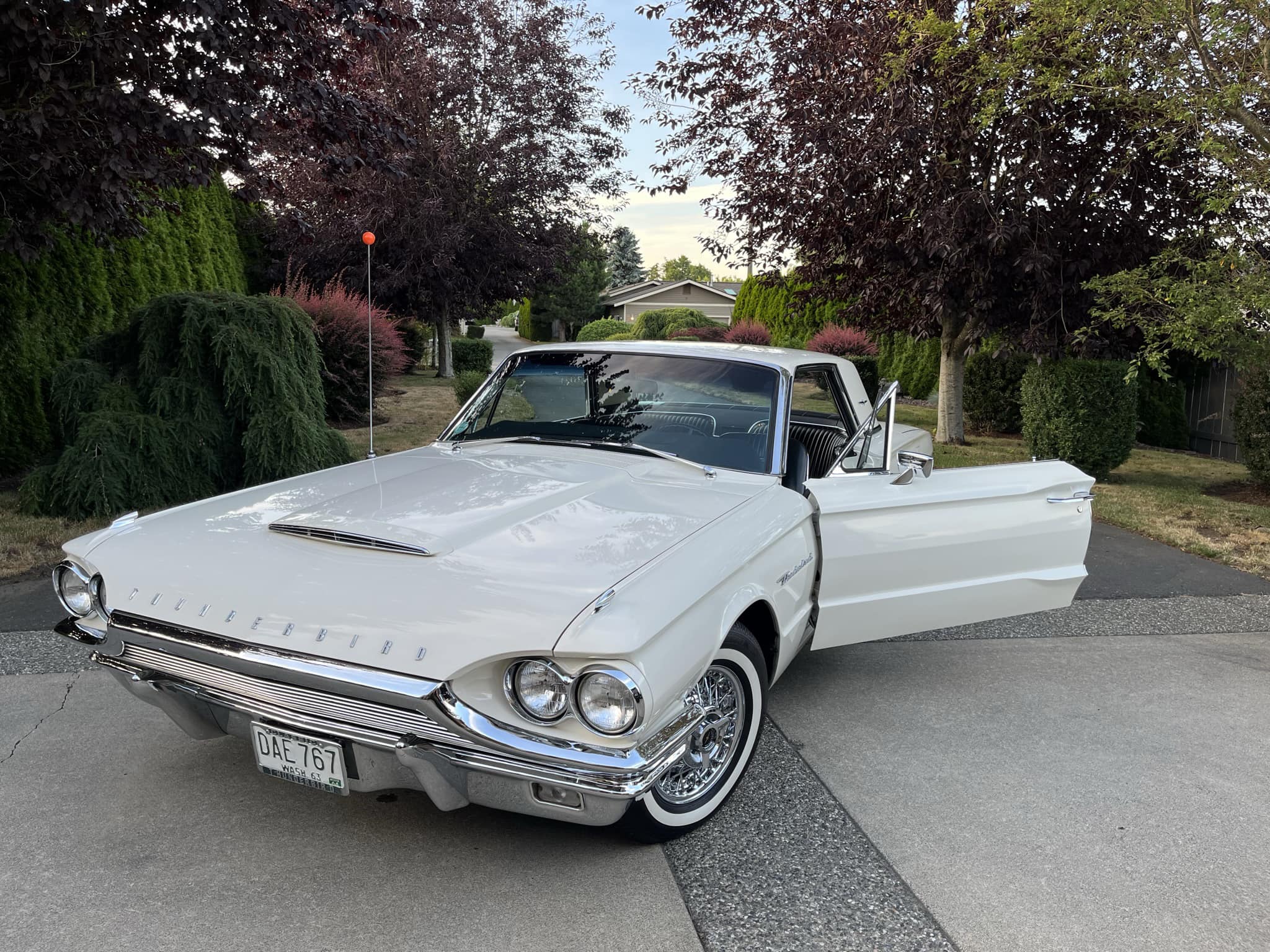 Our 56 Thunderbird project. Looking for extra vin numbers on frame.