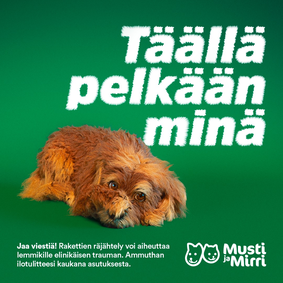Musti ja Mirri - Rakettien räjähtely voi aiheuttaa lemmikille ...
