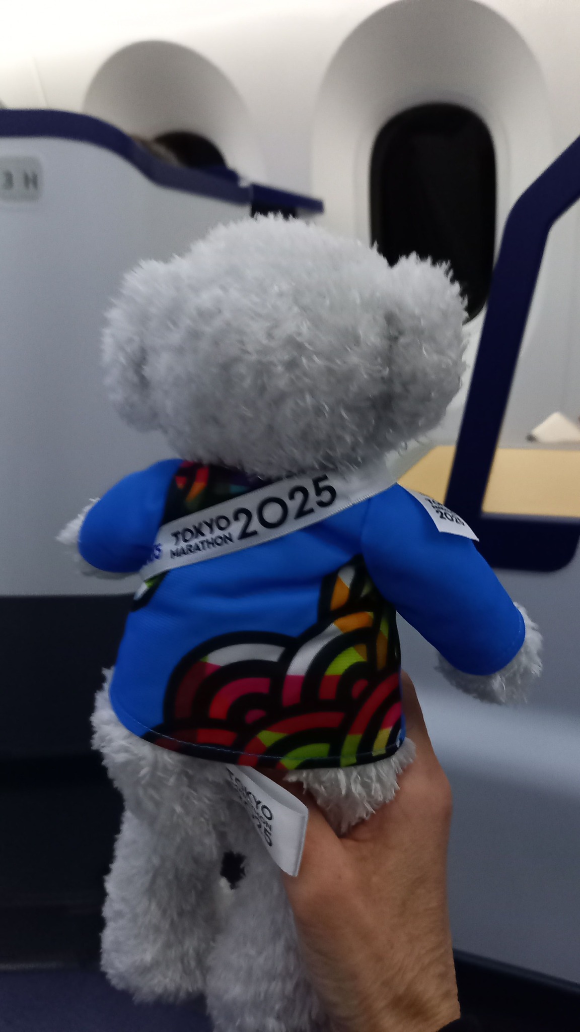 The official Tokyo Marathon 2026 🇯🇵 Commemorative Teddy Bear