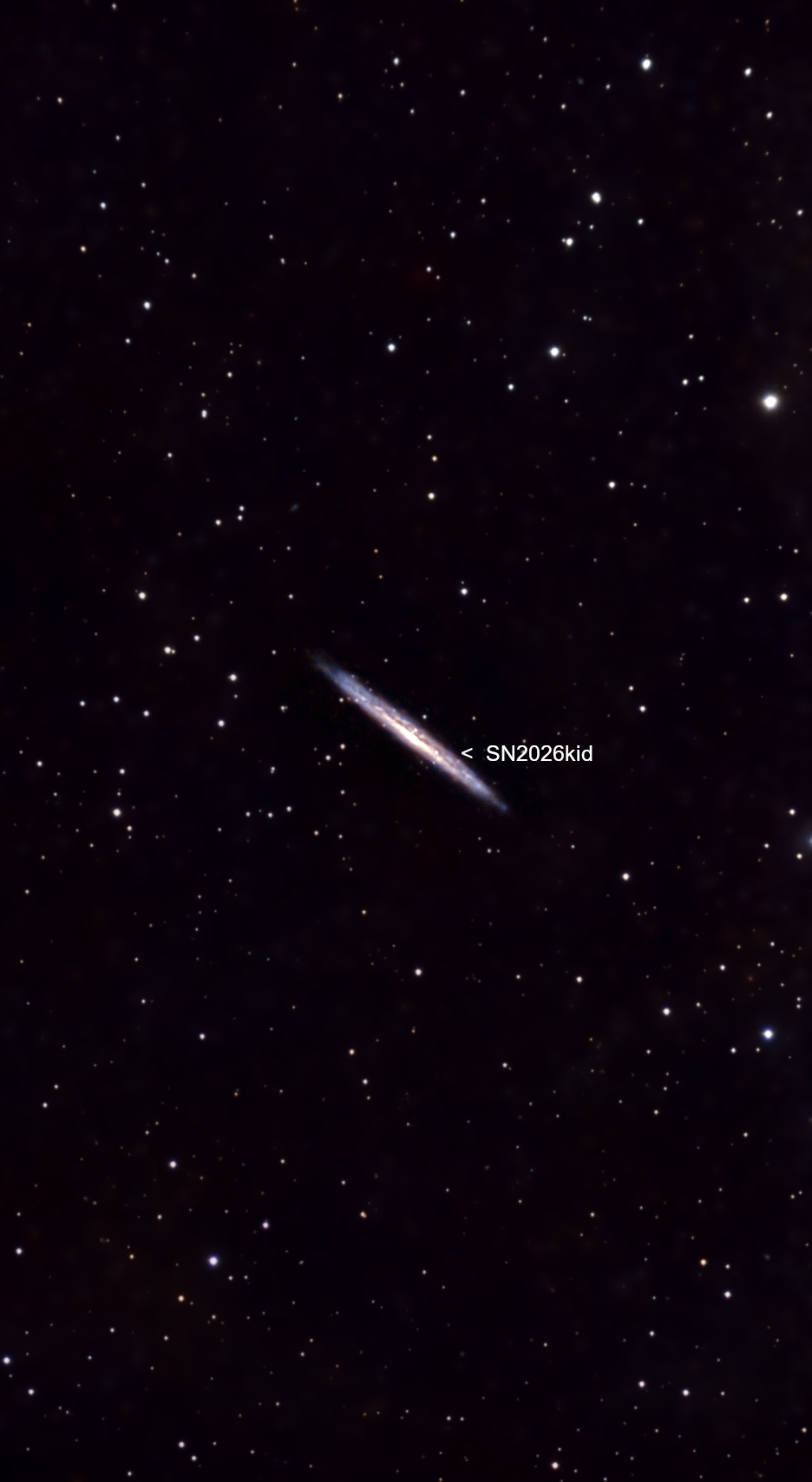 Supernova SN 2026sqf in NGC 3310 galaxy observed with Seestar S50