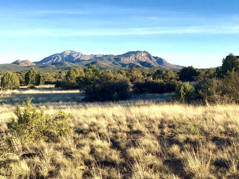 Colorado Lifestyle Properties -Residential, Land, Ranch, & Horse ...