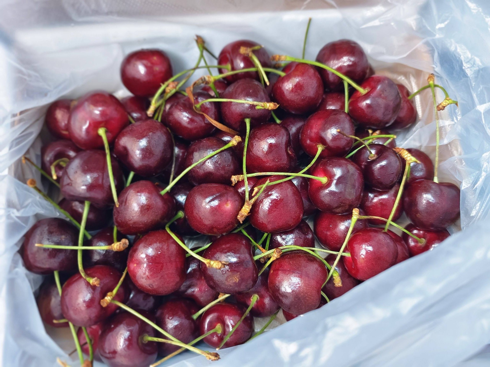 果欄夜遊行 約大家去分箱 | $175/1kg 32+ (買咗兩盒）🍒雖然唔係非常之甜, 不過幾脆口, 大粒 👍🏻不過記得要抽起睇睇有無水先買 ...