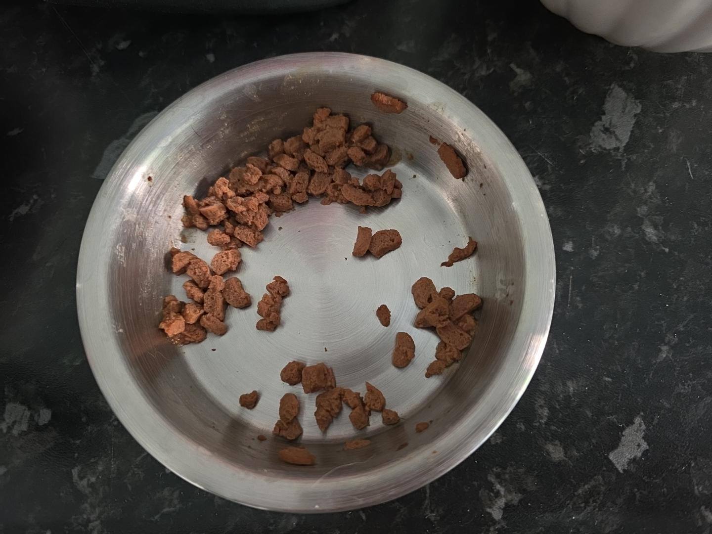 cat eating after b12 injection Does shot improve appetite? bestseller