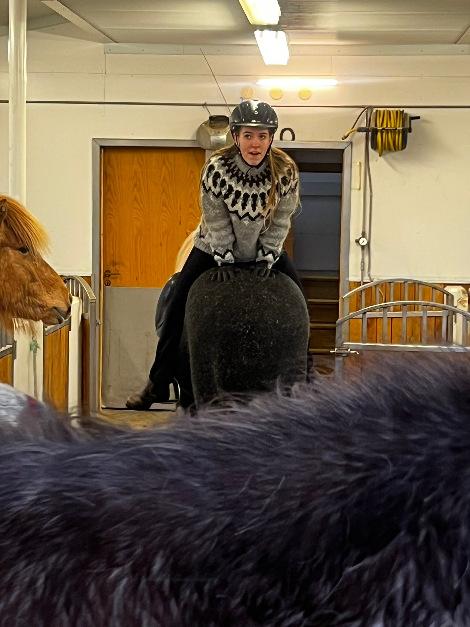 Guðbjörg Elísa... - Guðbjörg Elísa Hafsteinsdóttir
