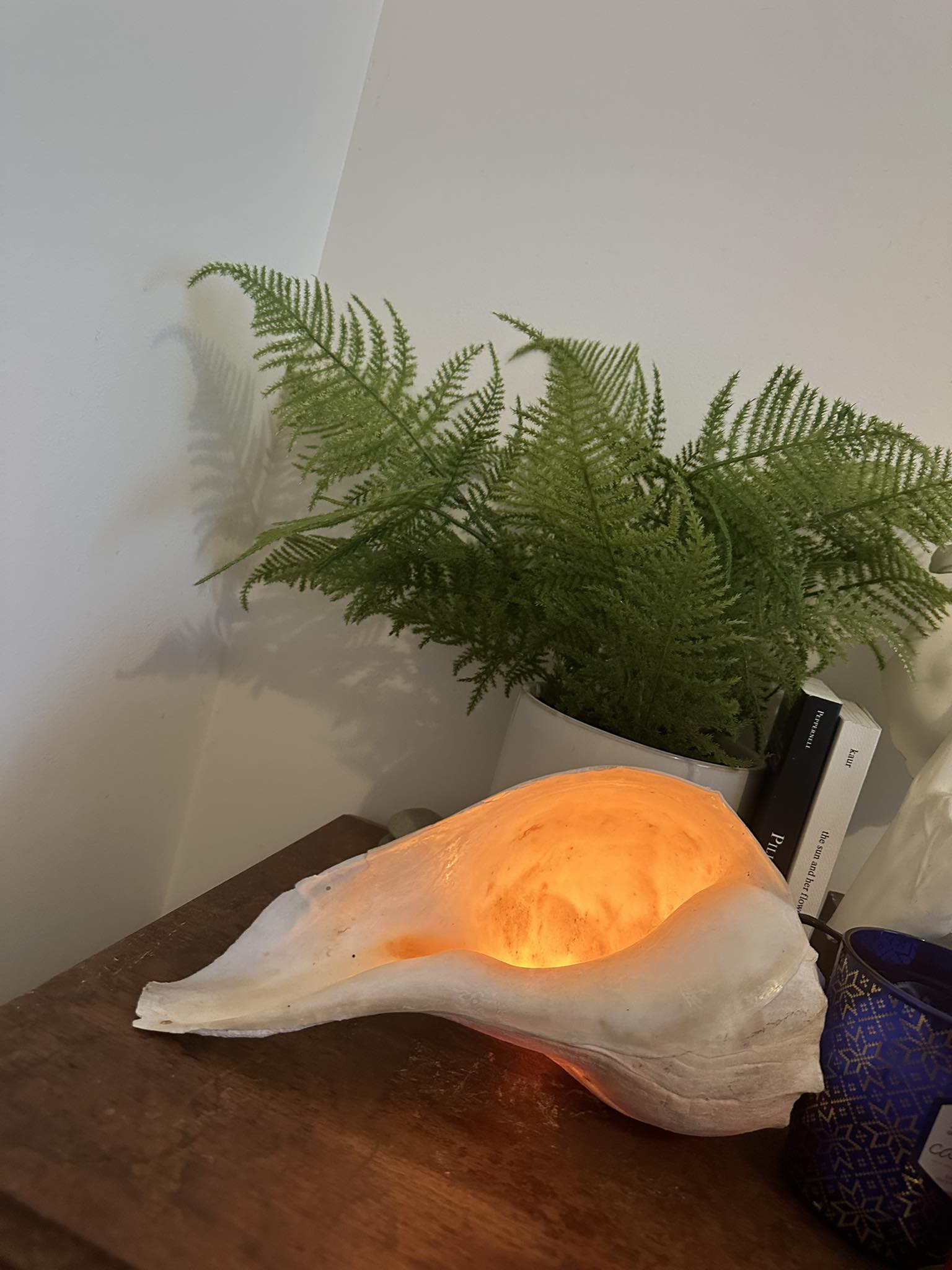 Making shell lamps for home decor