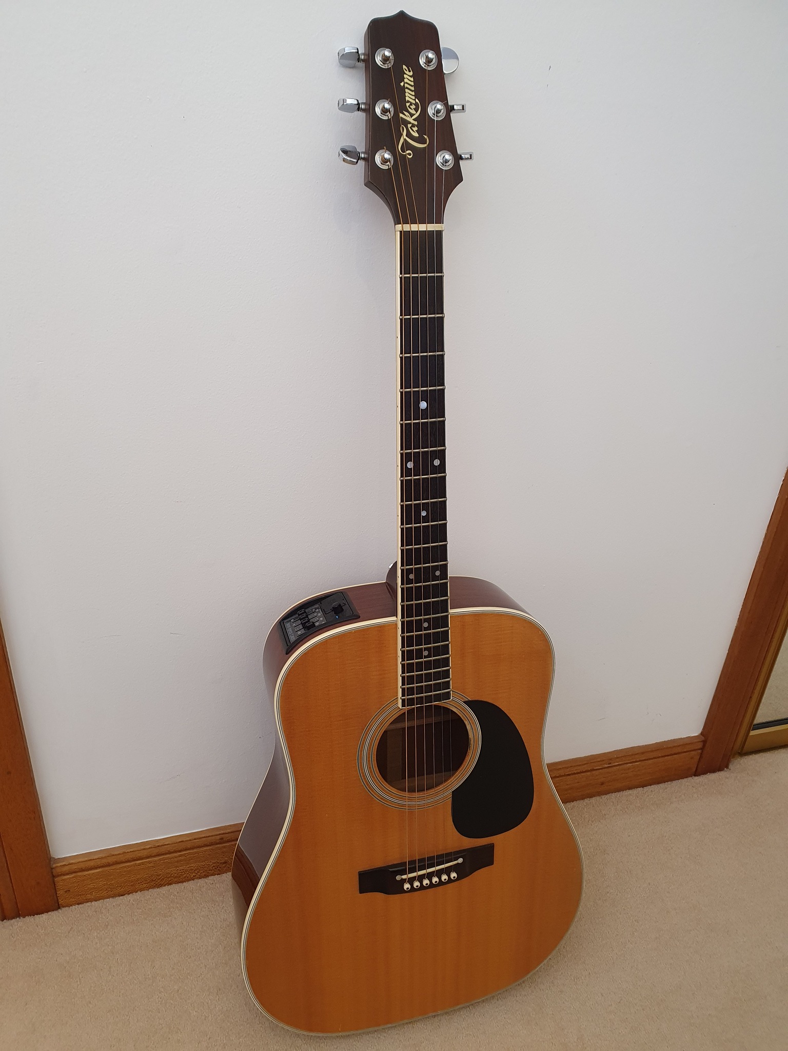 タカミネ The Art Of Wood And Tone Takamine 【公式通販】