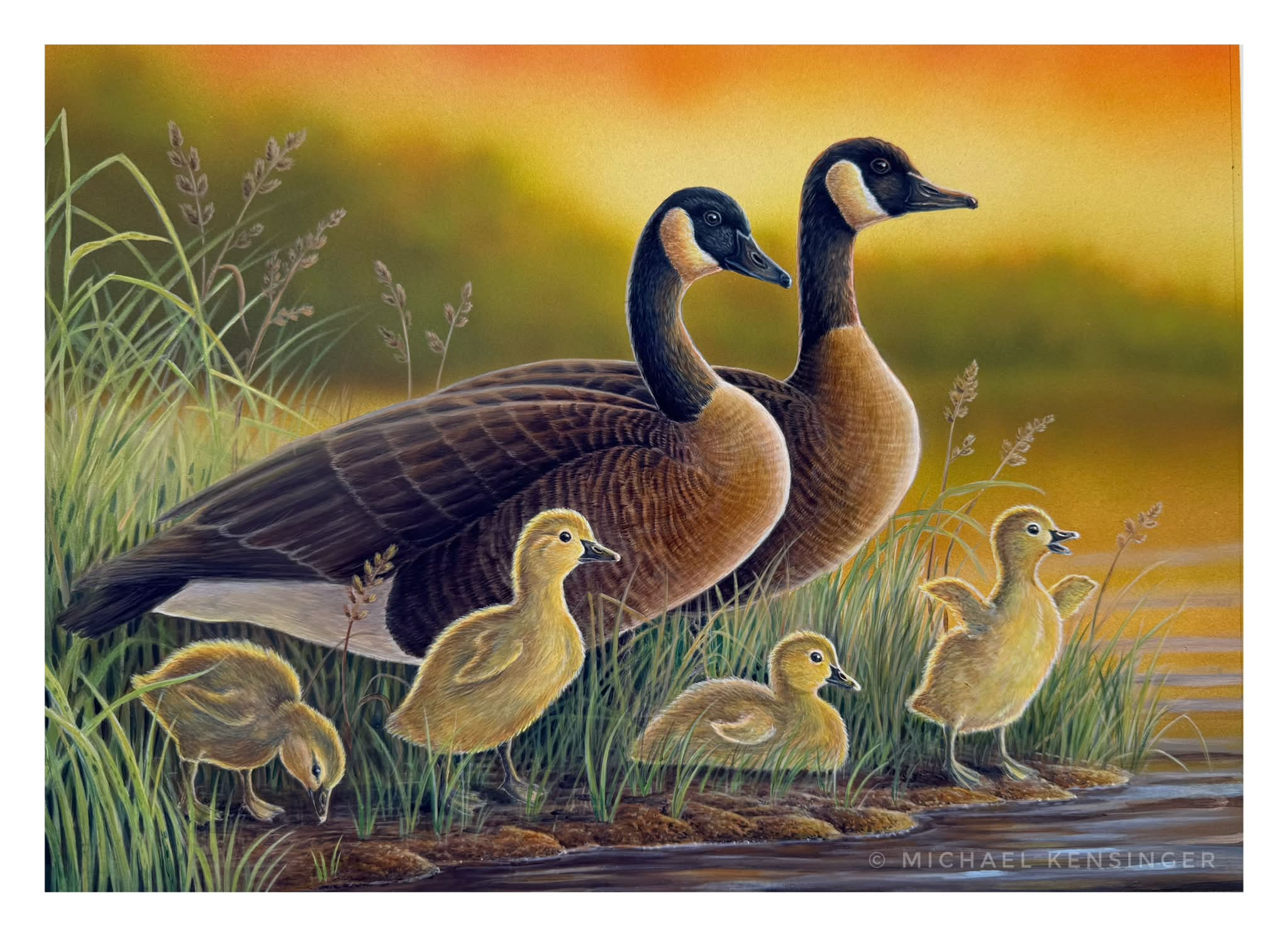 Framed wildlife art print by Jim Hautman. This piece is a print