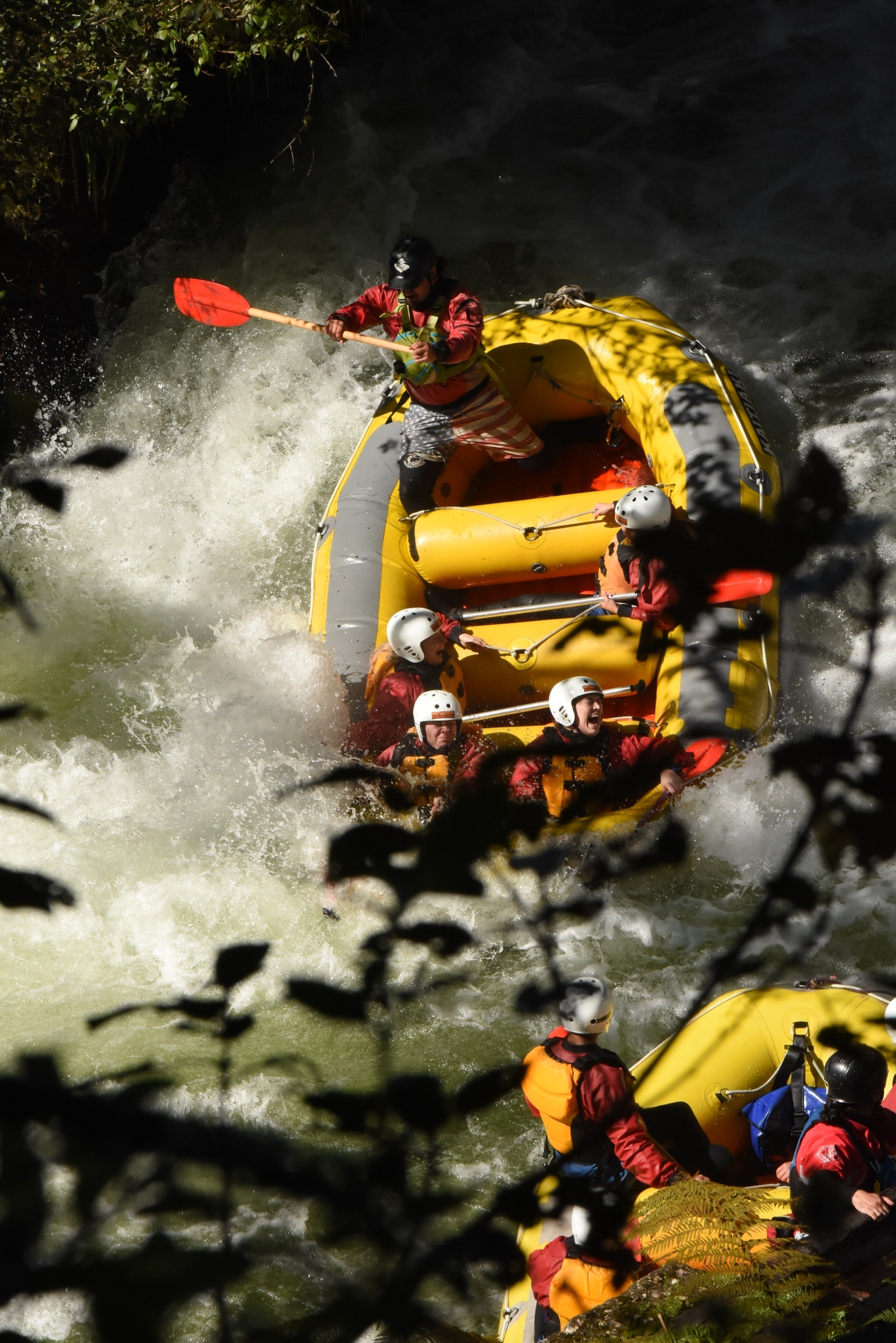 Kaitiaki Adventures Aotearoa - Burst through the Kaituna and Natures ...