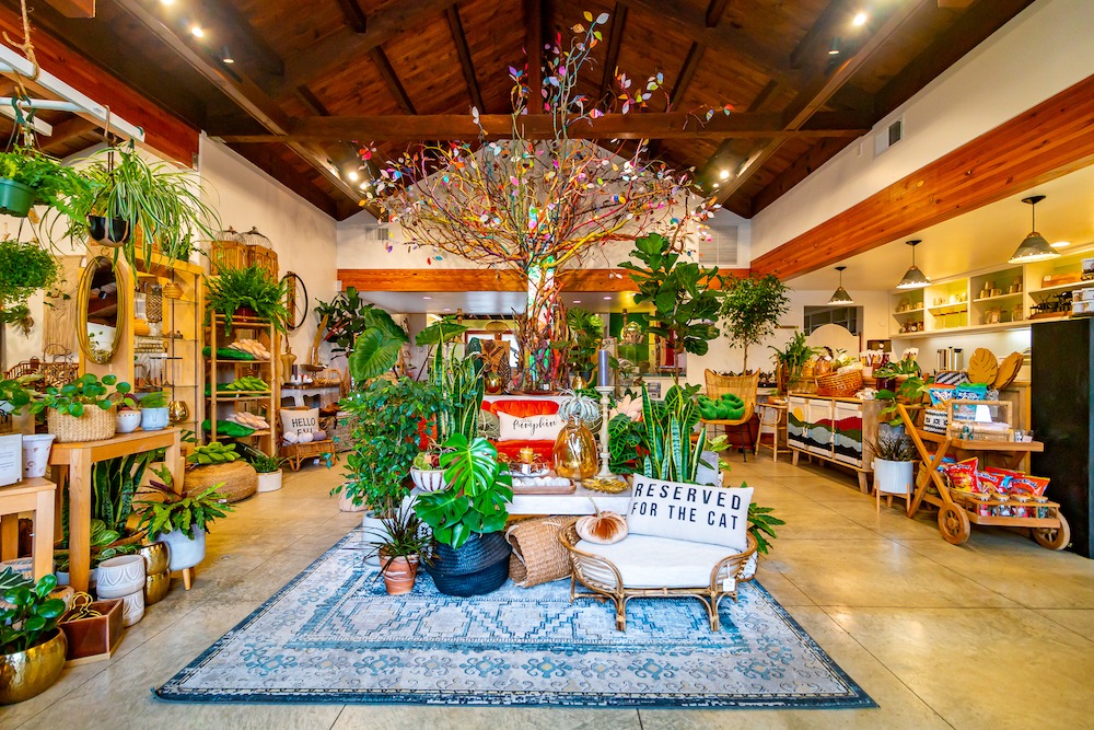 Our sister property, Cambria Nursery... - Cambria Pines Lodge | Facebook