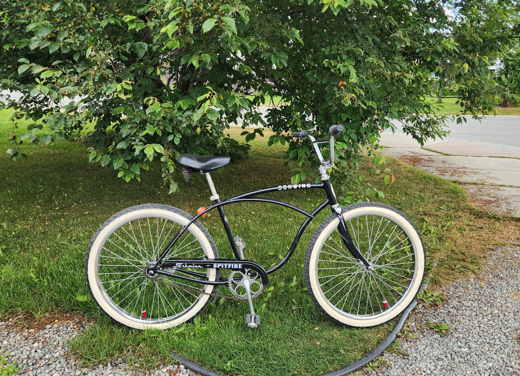 schwinn spitfire bicycle Used Vintage Cruiser pushing themselves along Schwinn Spitfire Bicycle 3.0 #419245