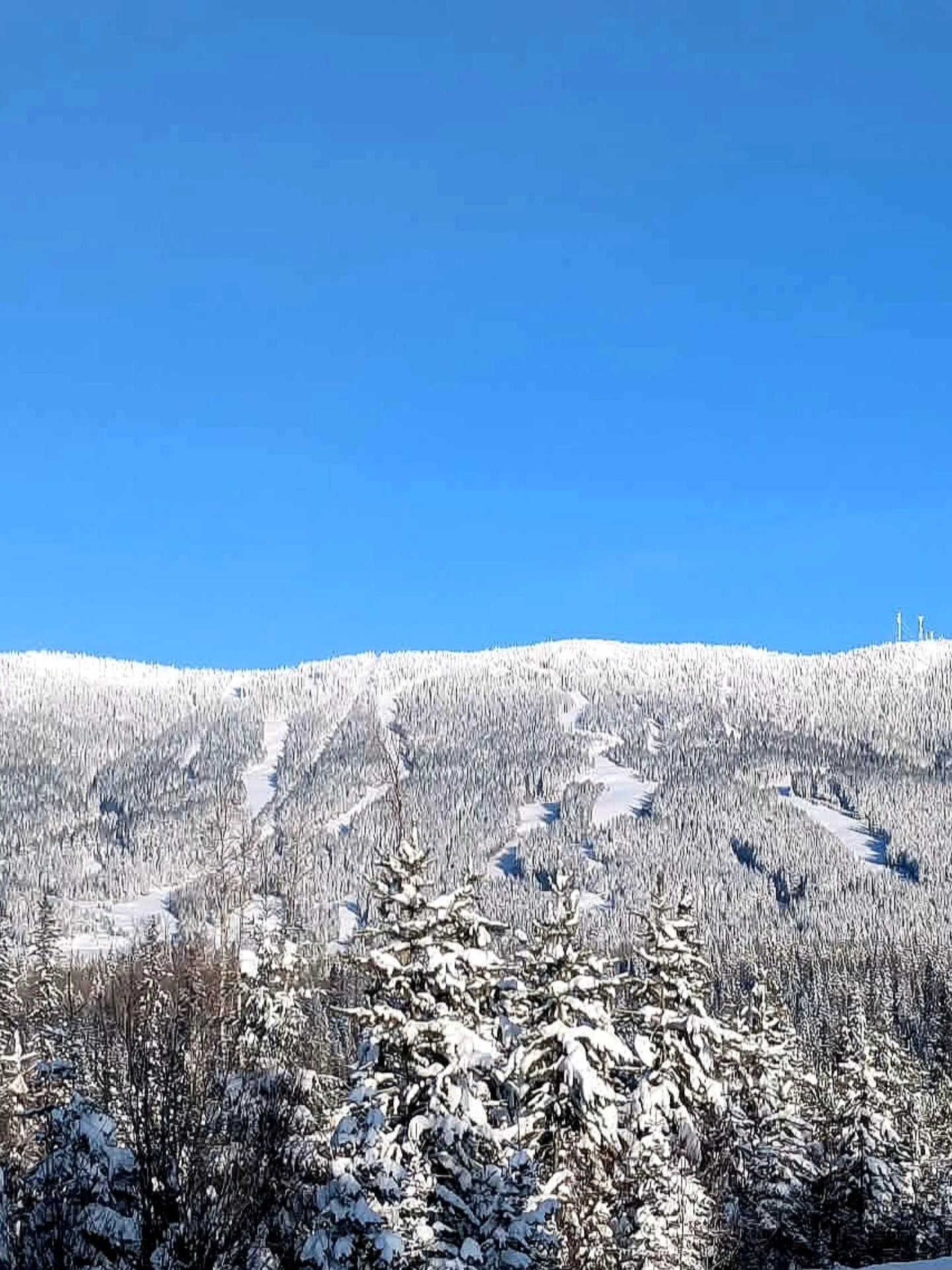 Murray Ridge Ski... - Murray Ridge Ski Hill and Terrain Park
