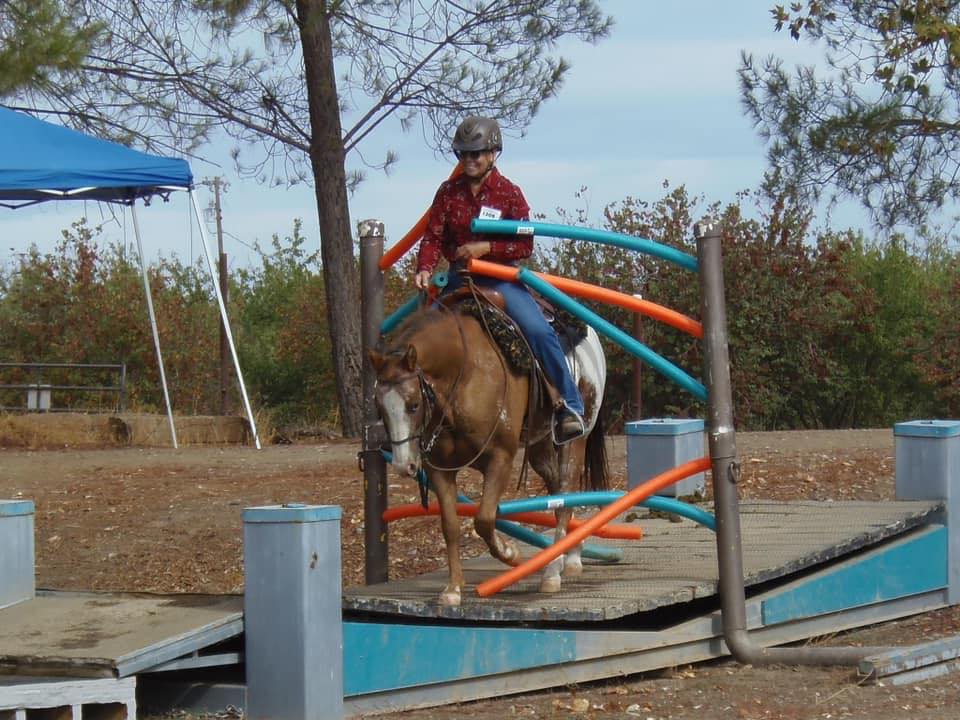 CSHA Region 5 Obstacle Challenge | Facebook
