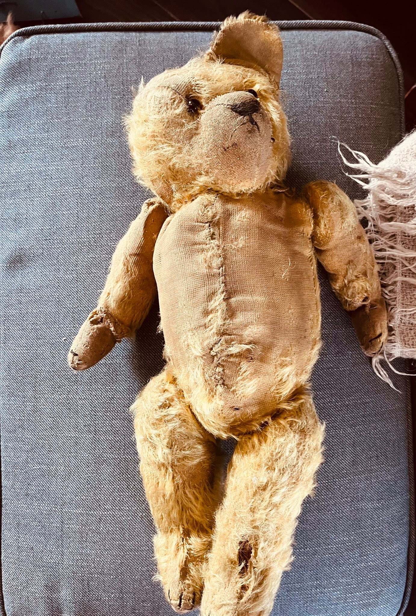 新品 Bartholomew Bear Heartthrob Bartholomew Bear 'Heartthrob