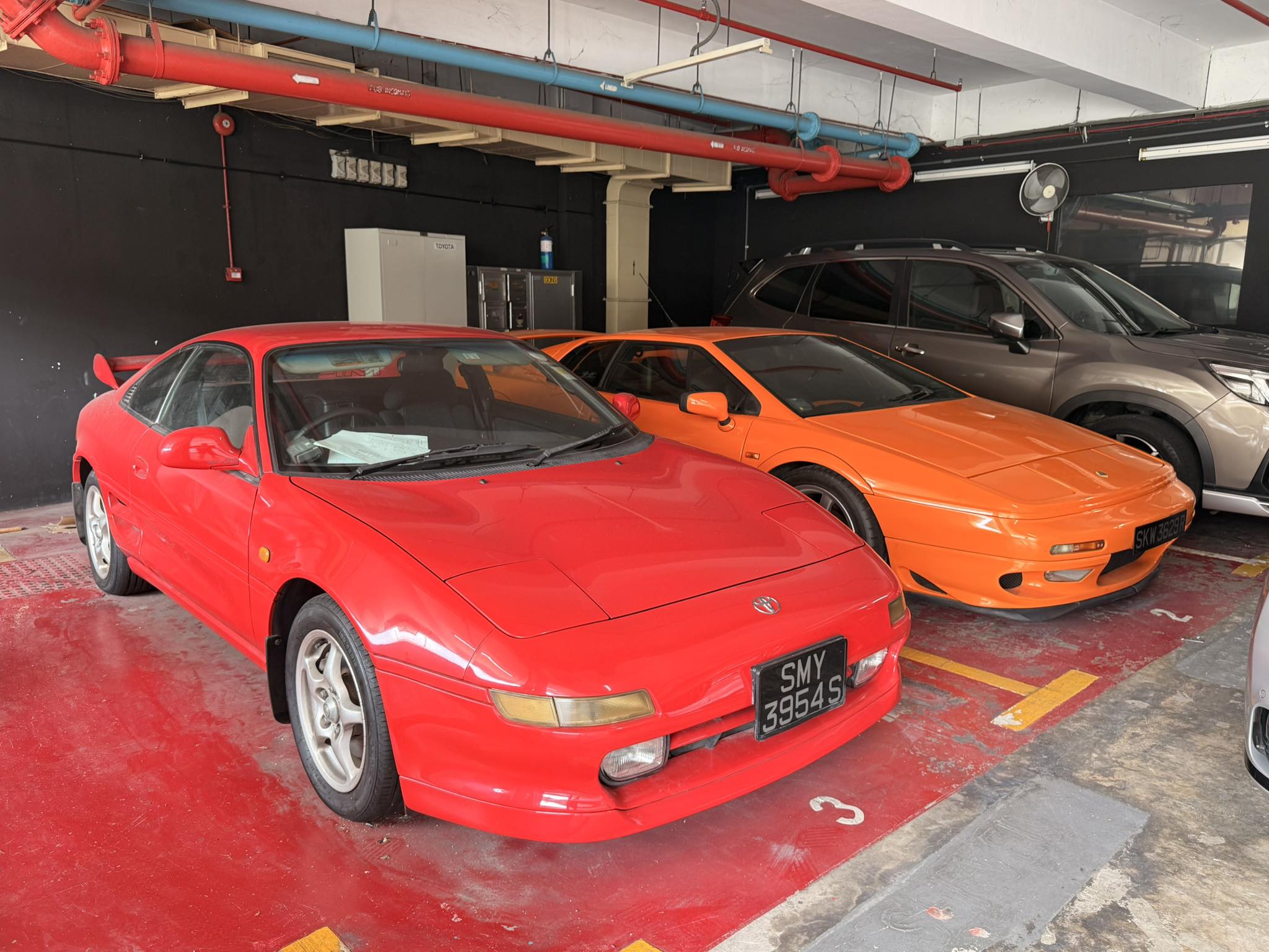 Saw these beauties… | Facebook