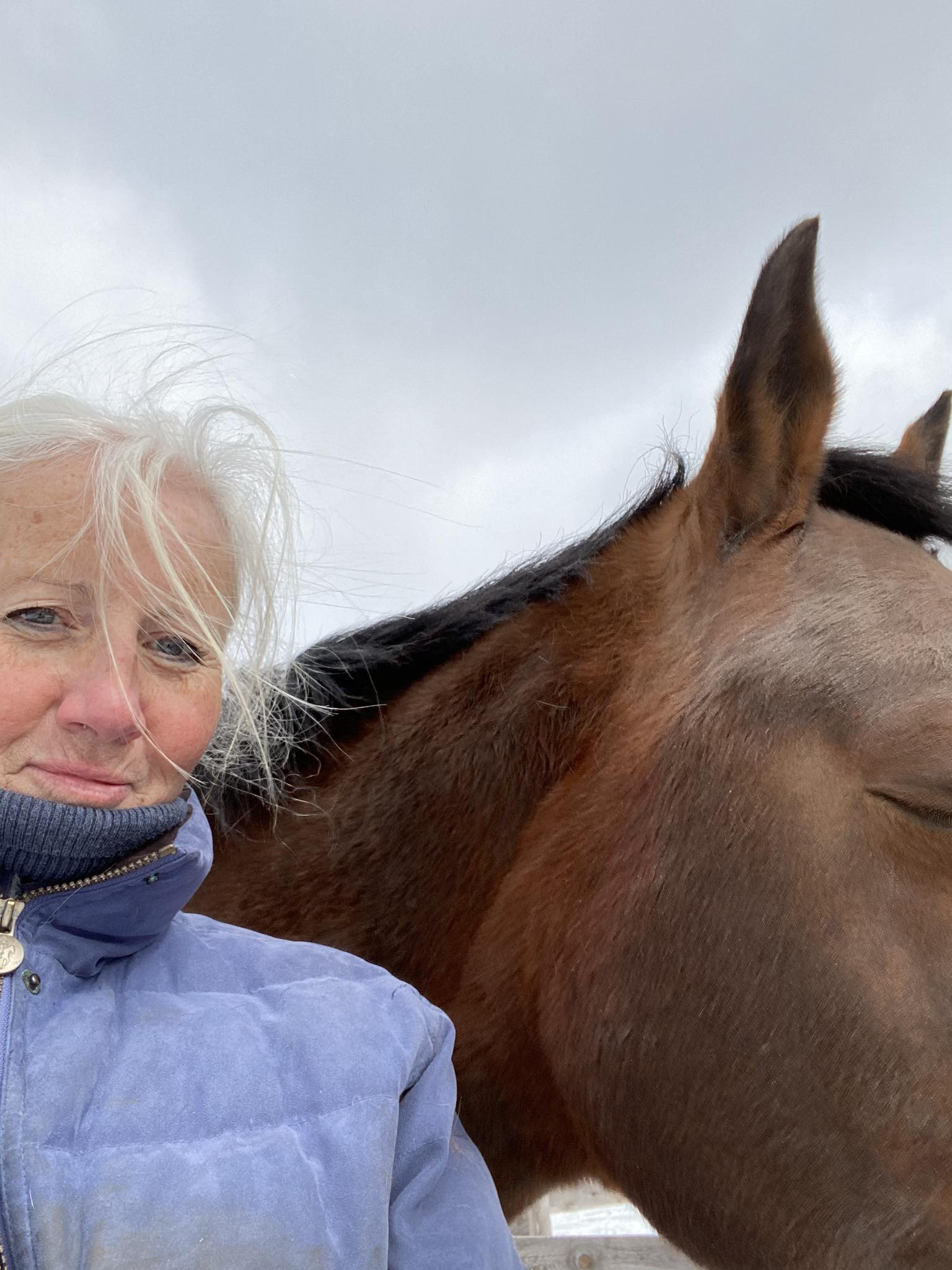 Debbie Shorten - EDIT: 🐴 We’ve seen some lovely properties... | Facebook