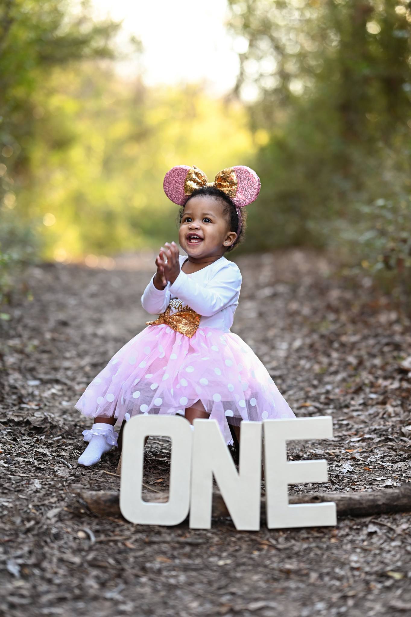 Birthday Photoshoot I Am One Birthday Dress First Birthday Cake Smash Photos!