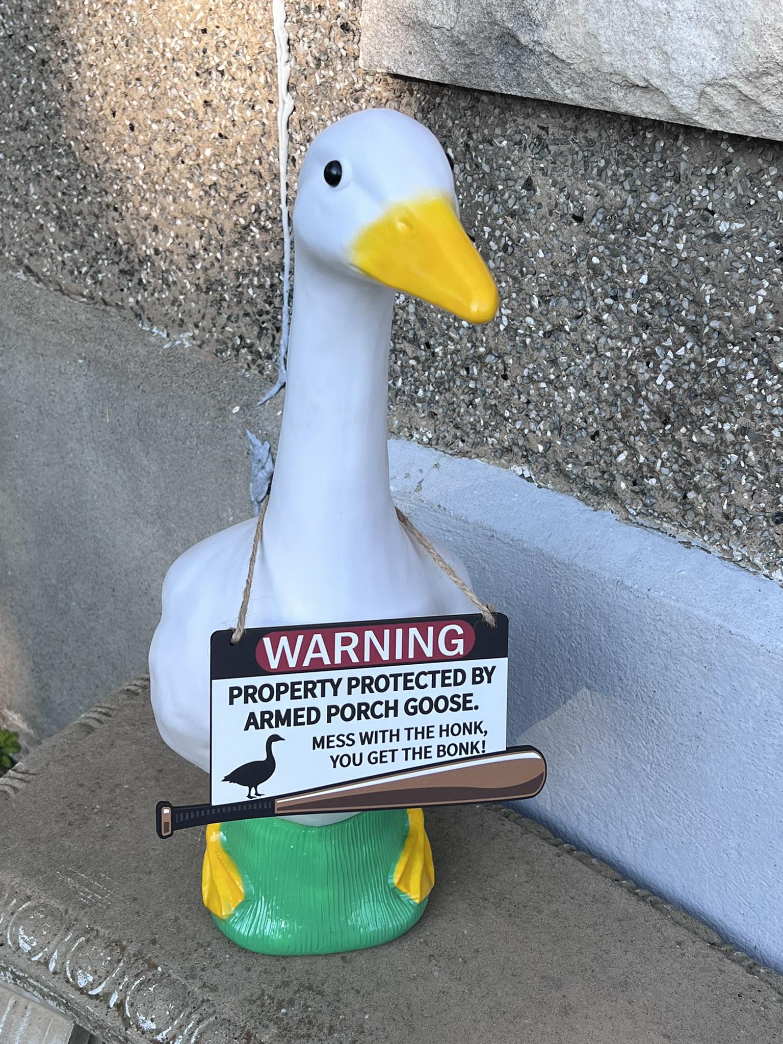 The Porch Goose Club of America | I finally joined the porch goose club ...