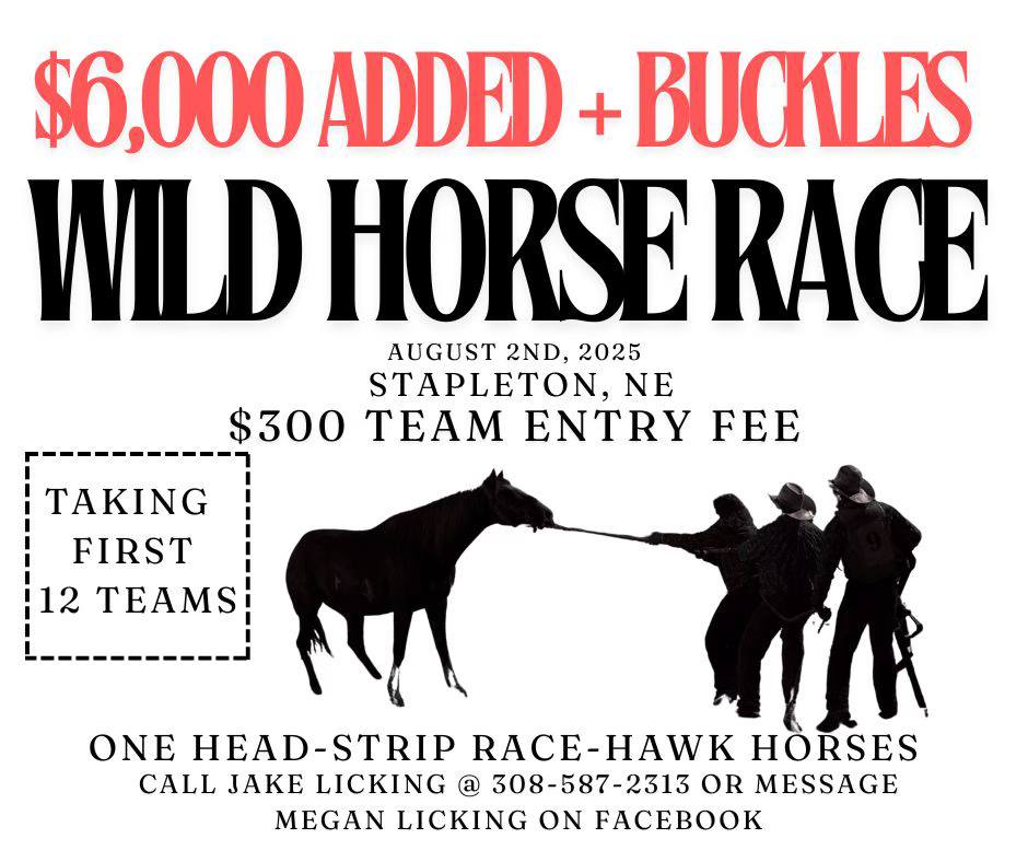 Congratulations to... - World Championship Wild Horse Racing | Facebook