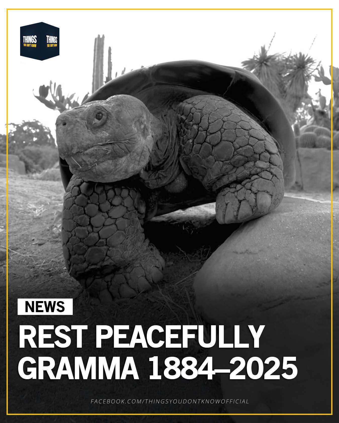 Dheeman - Generations grew up visiting her 🥺💔 Gramma, a Galápagos giant ...