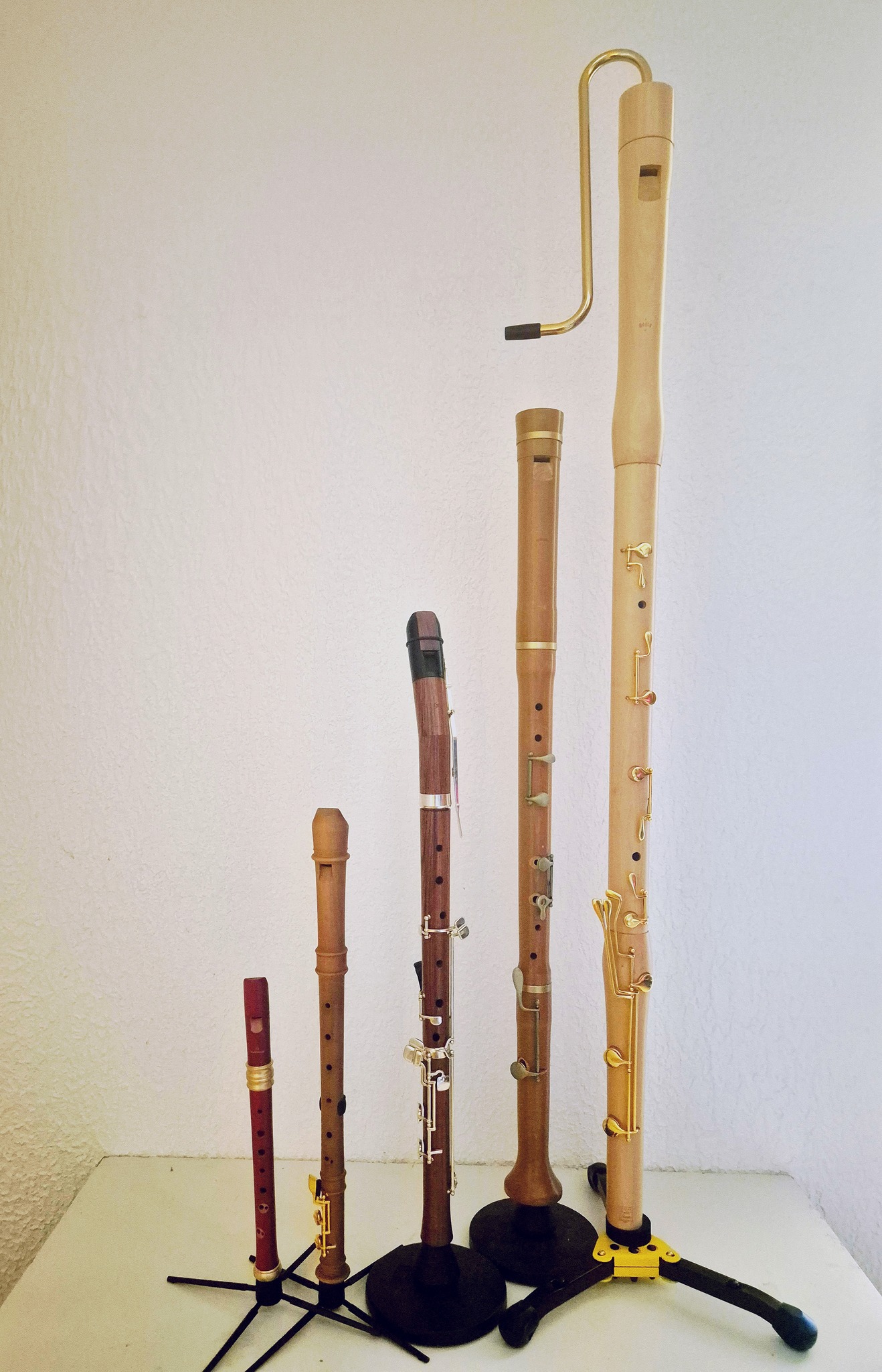 Amazing Solos Treble/Alto Recorder | Notsamlingar - Blockflöjt