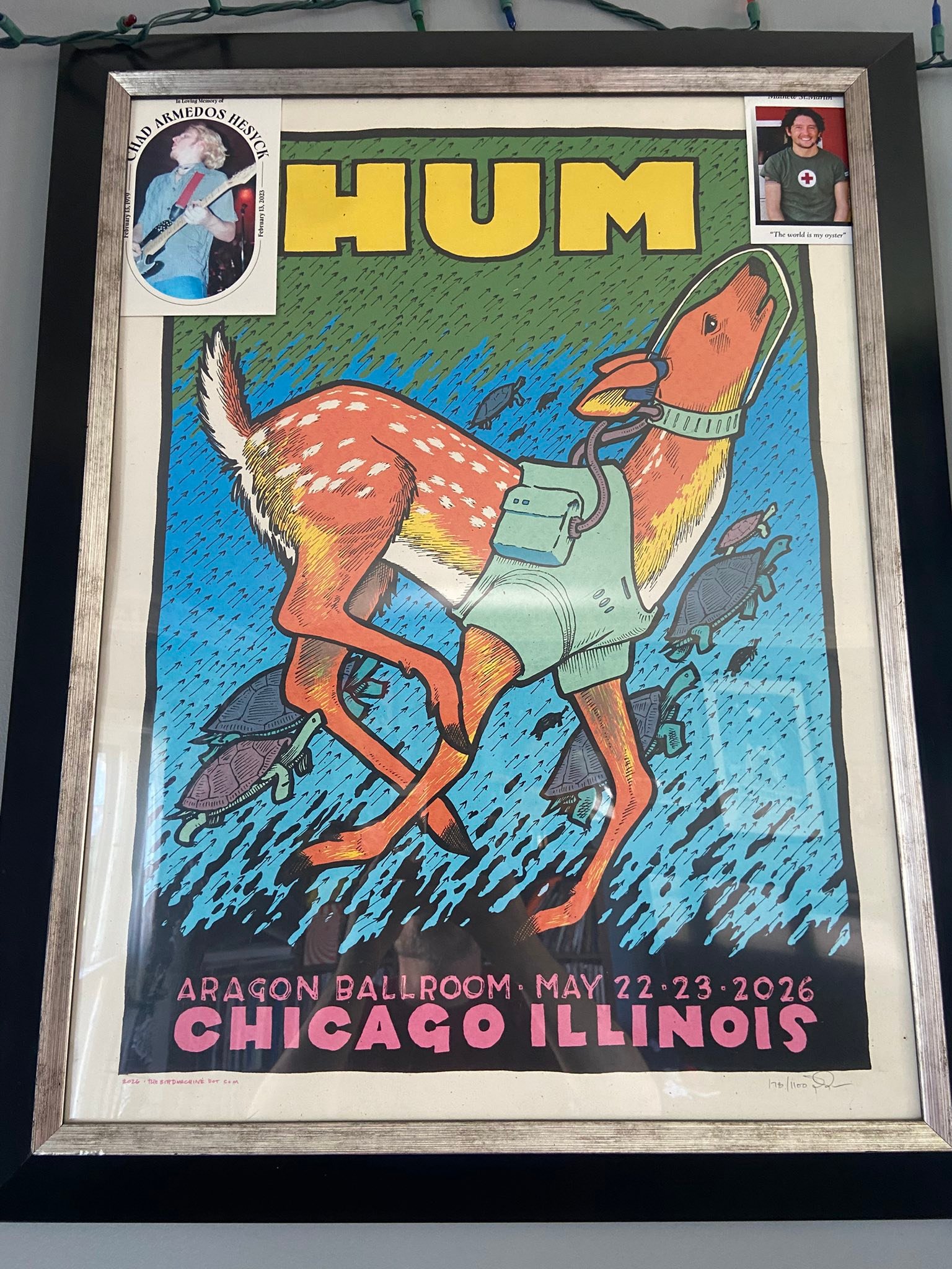 Discovering hum