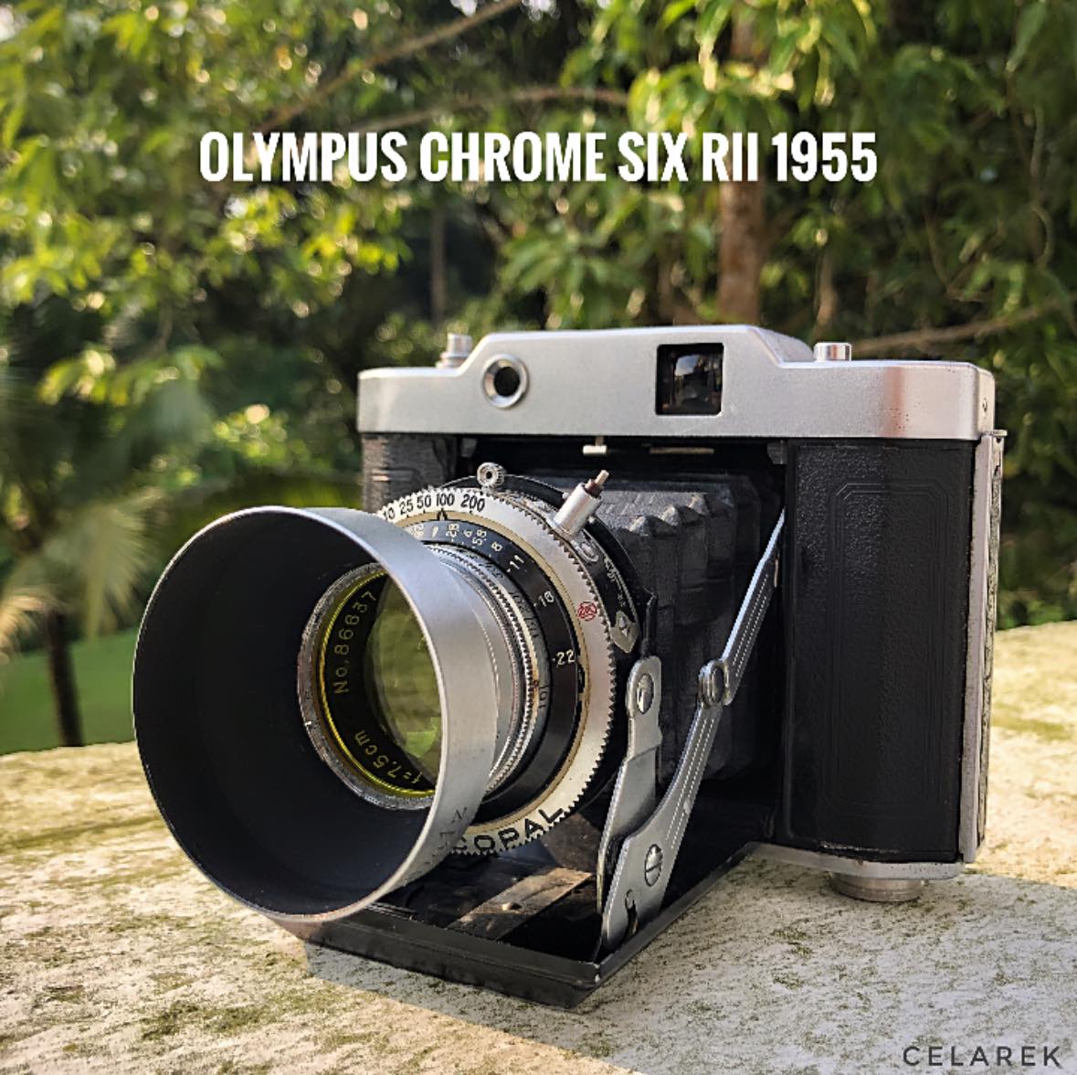 Olympus Chrome Six camera in medium format collection