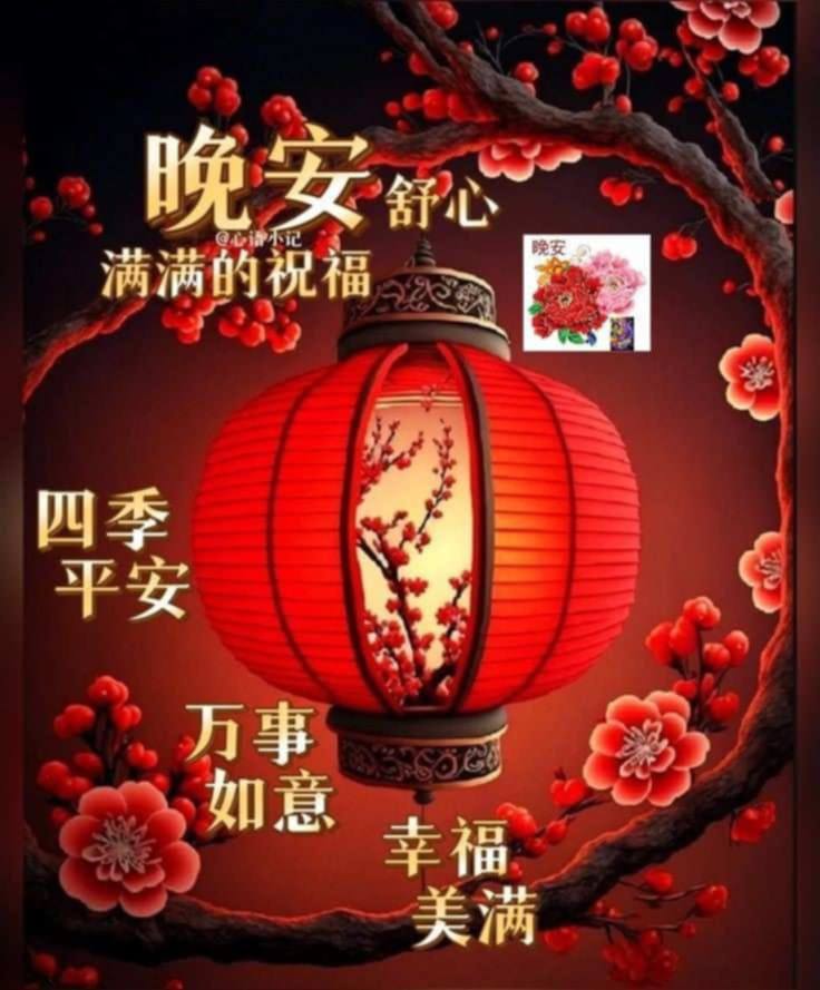 早安吉祥如意花语图 | 各位晚安好，大年初一，恭喜發財，年行大運，身體健康，生活愉快 | Facebook