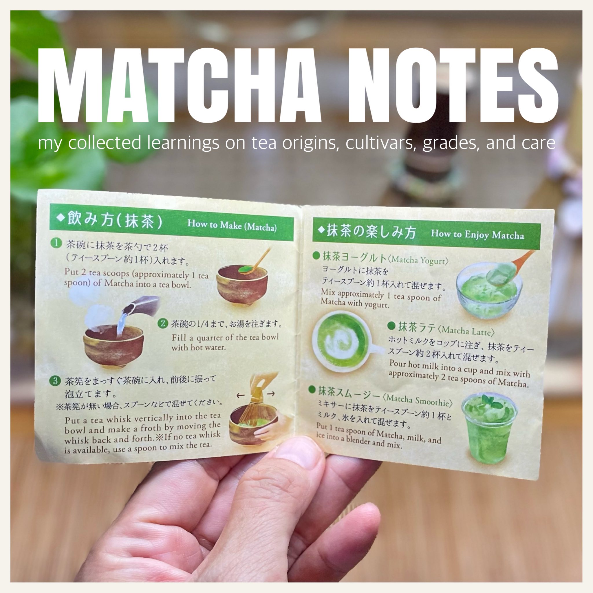 Rabbiz - MATCHA NOTES ••┈┈┈┈•• ♡ ••┈┈┈┈•• 🌱 What is Matcha? มัทฉะ คือผง ...