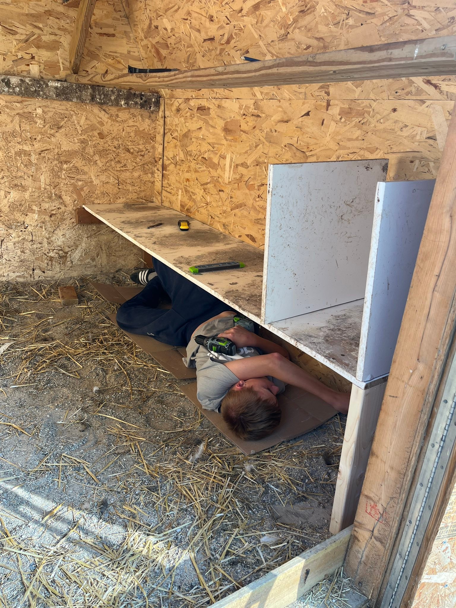 Everything Backyard Chicken! | My son built me some nesting boxes ...