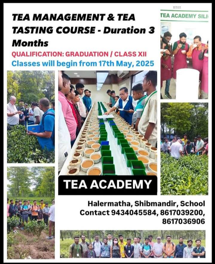 TEA MANAGEMENT | Facebook