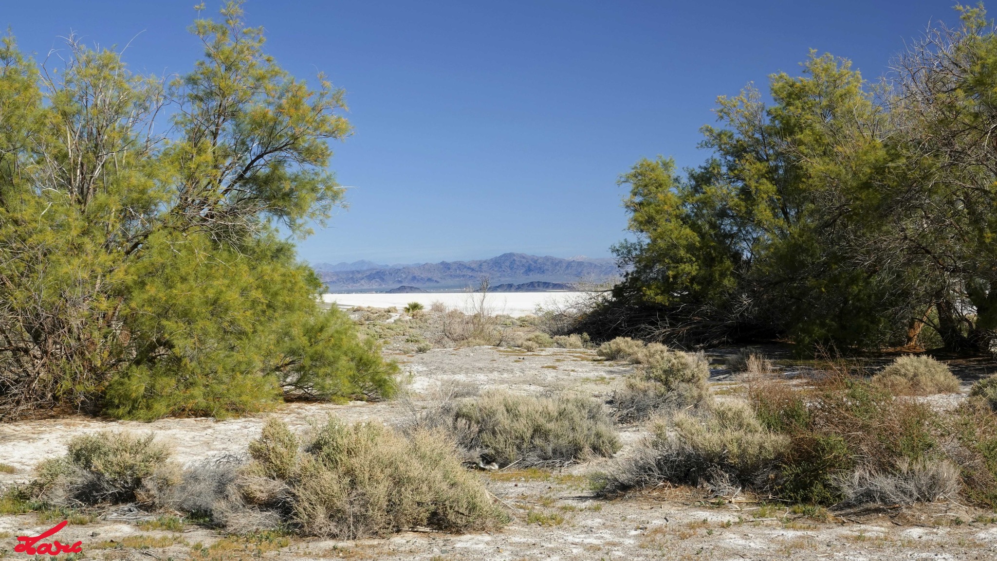 Zzyzx road exit on I-15 in San Bernardino, CA county