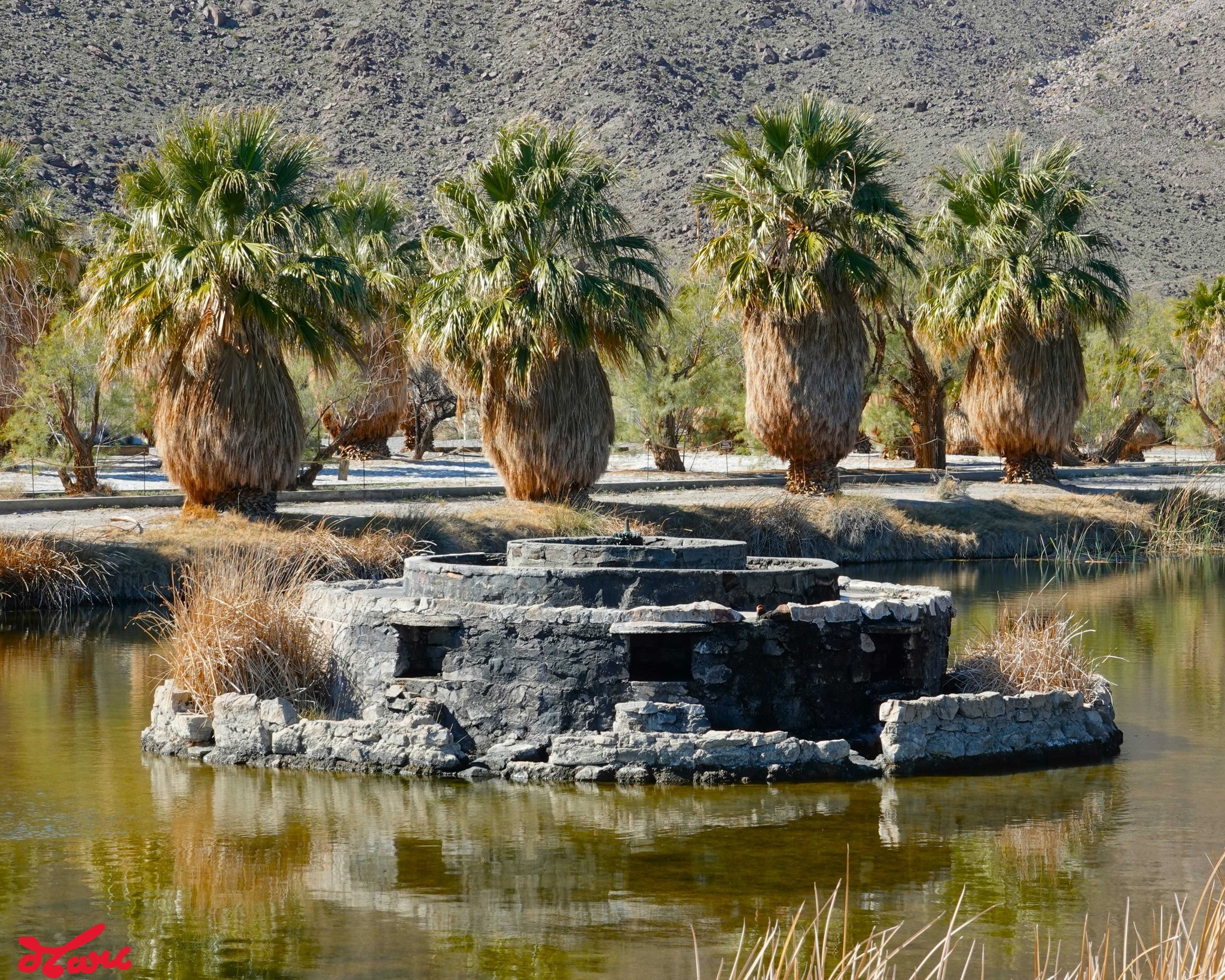 Zzyzx, off I 15, just south of Baker, San Bernardino County (2)