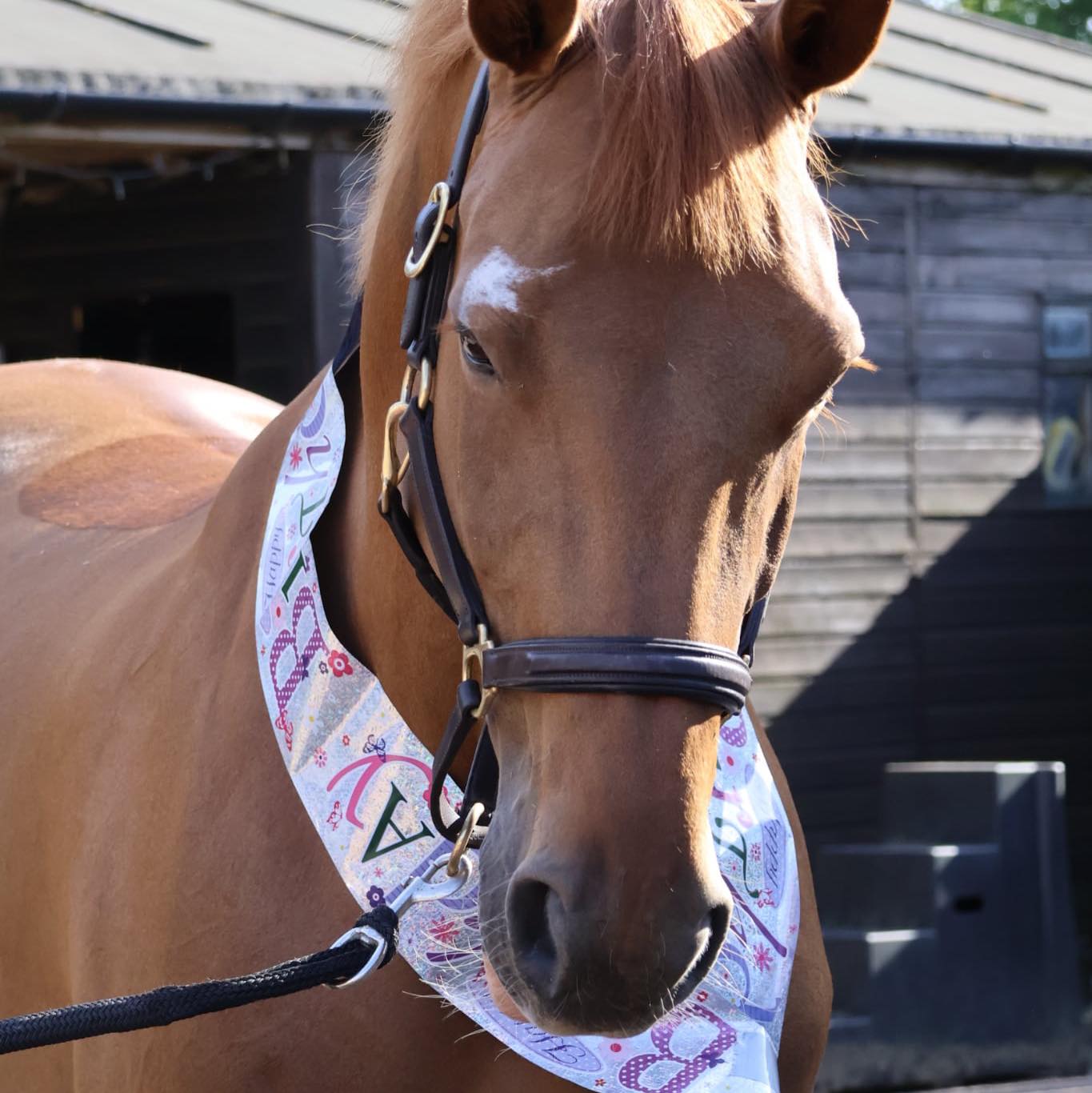 Really full on day today, Polly my number 1 girl (don’t tell the others ...
