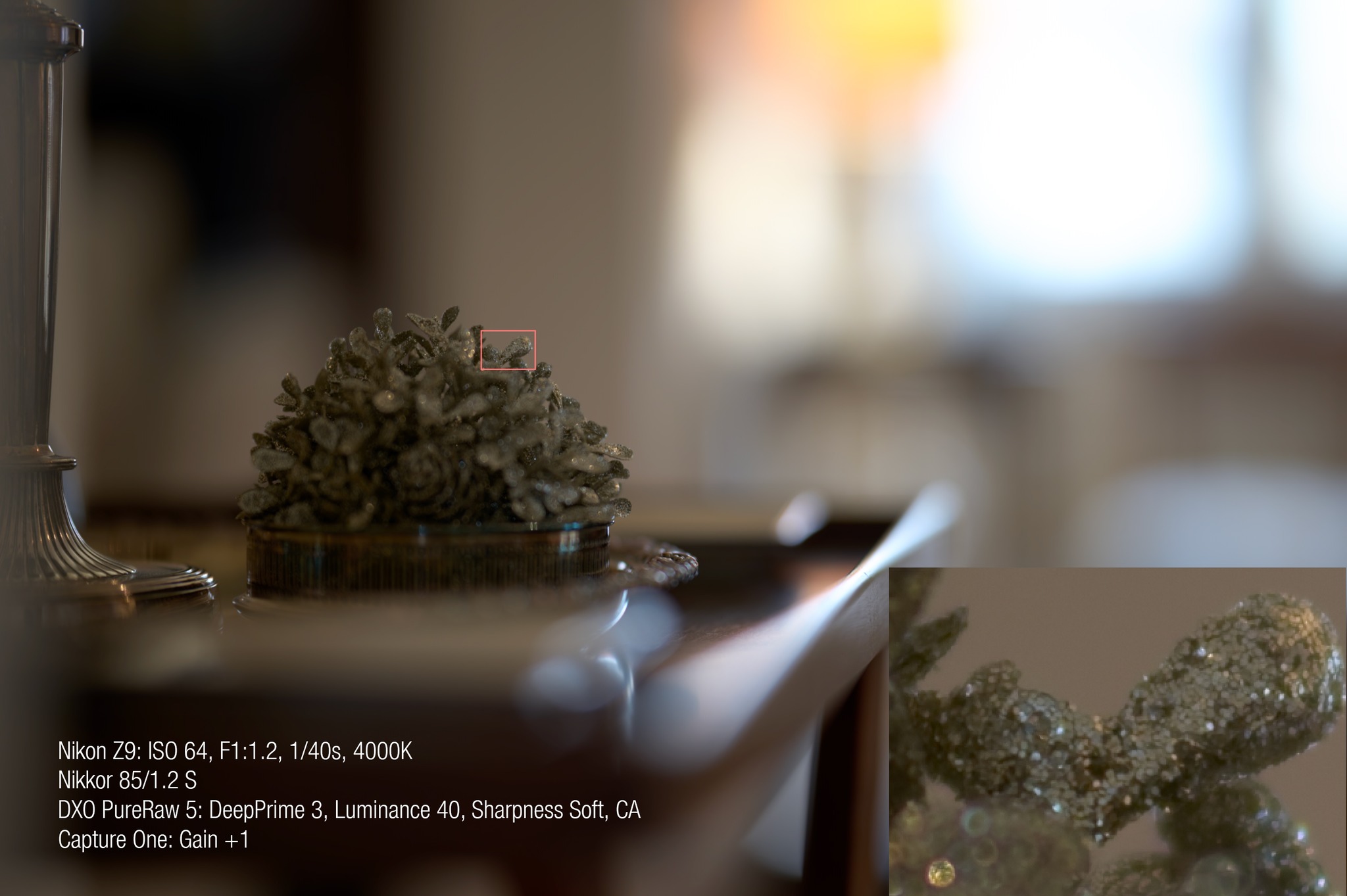 Zeiss planar 85mm f1.2 lens review
