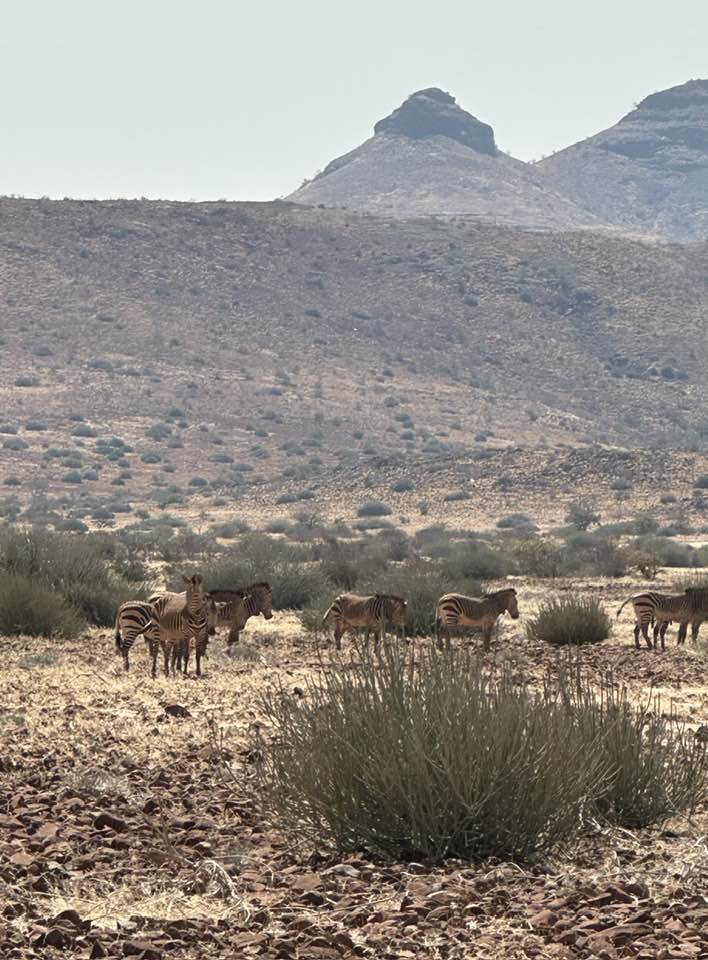 Rhino tracking experience with Sebulon Hoeb in Namibia 