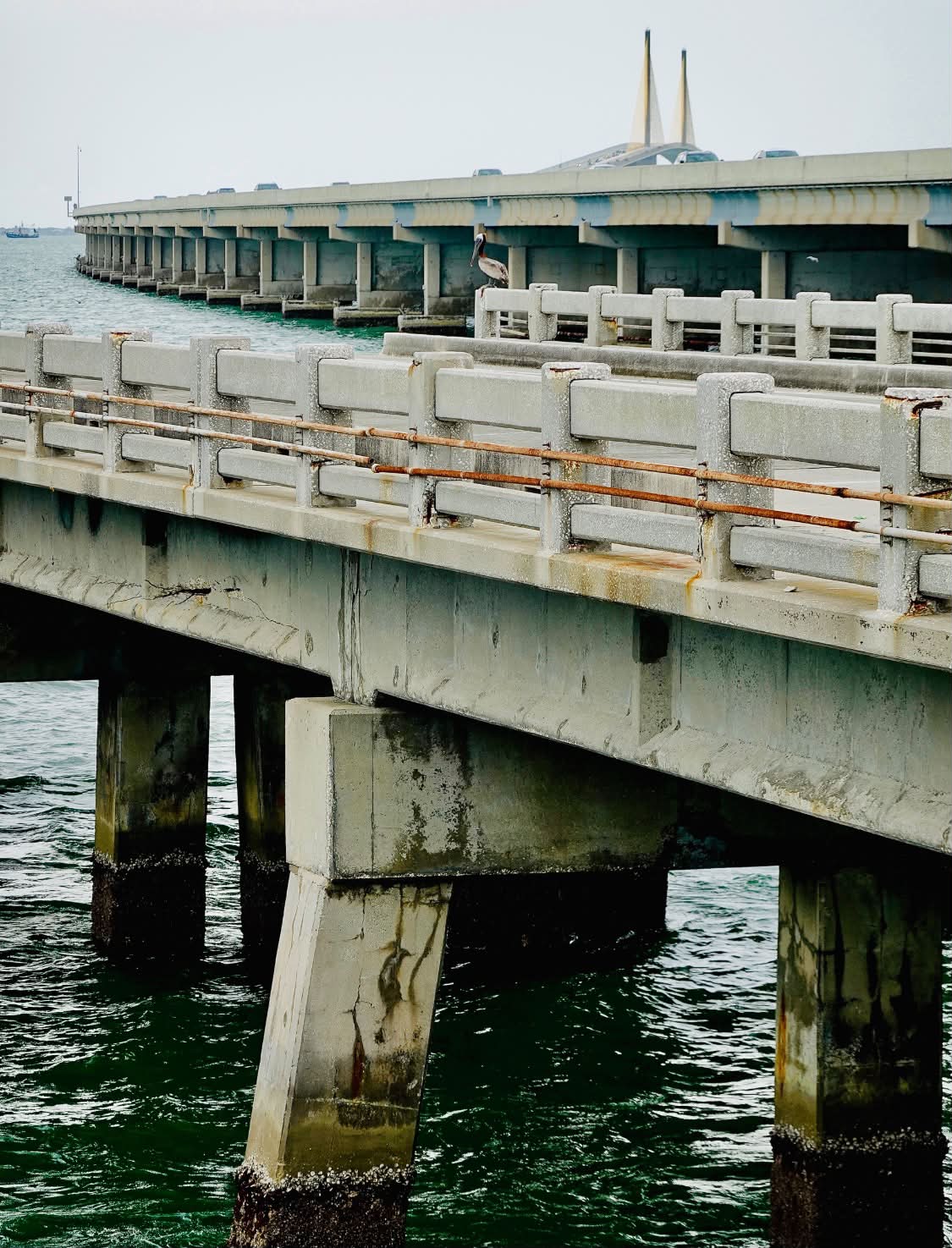 The pre-accident Sunshine Skyway Bridge in a 1974 Tampa slide