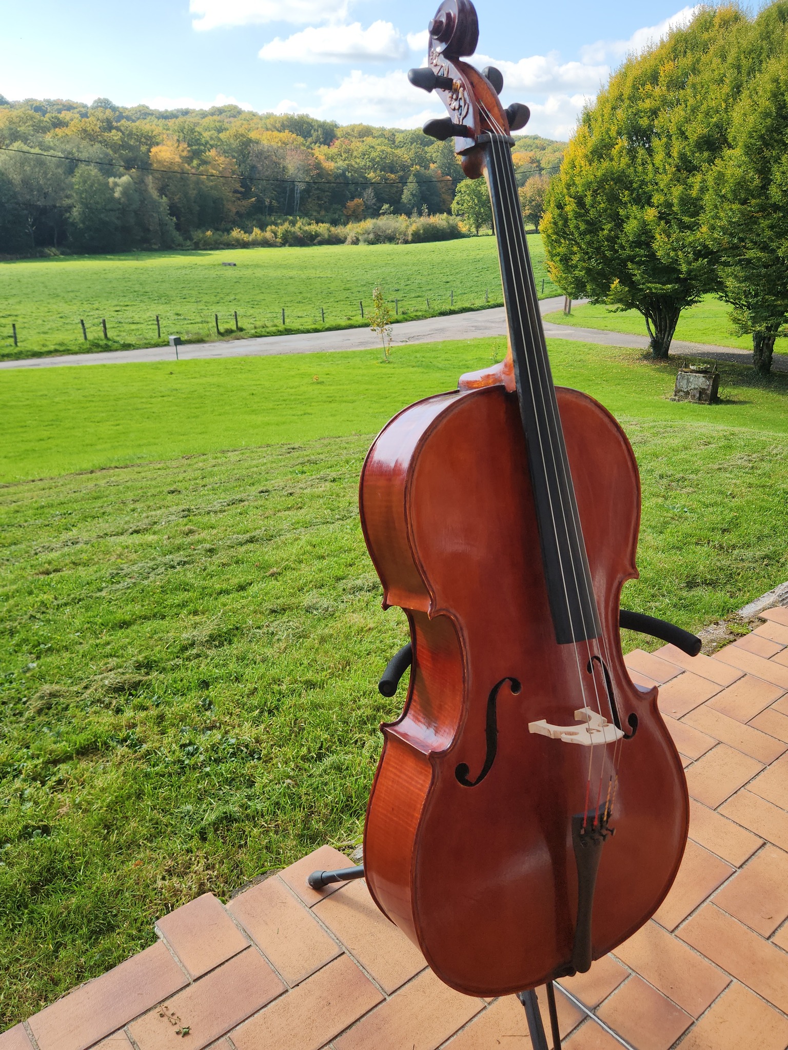 Fantastique guide des doigts pour violoncelle - Accessoires de musique pour instruments à cordes, touche et touche - Autocollants pour apprendre toutes les notes, apprendre à jouer du violoncelle