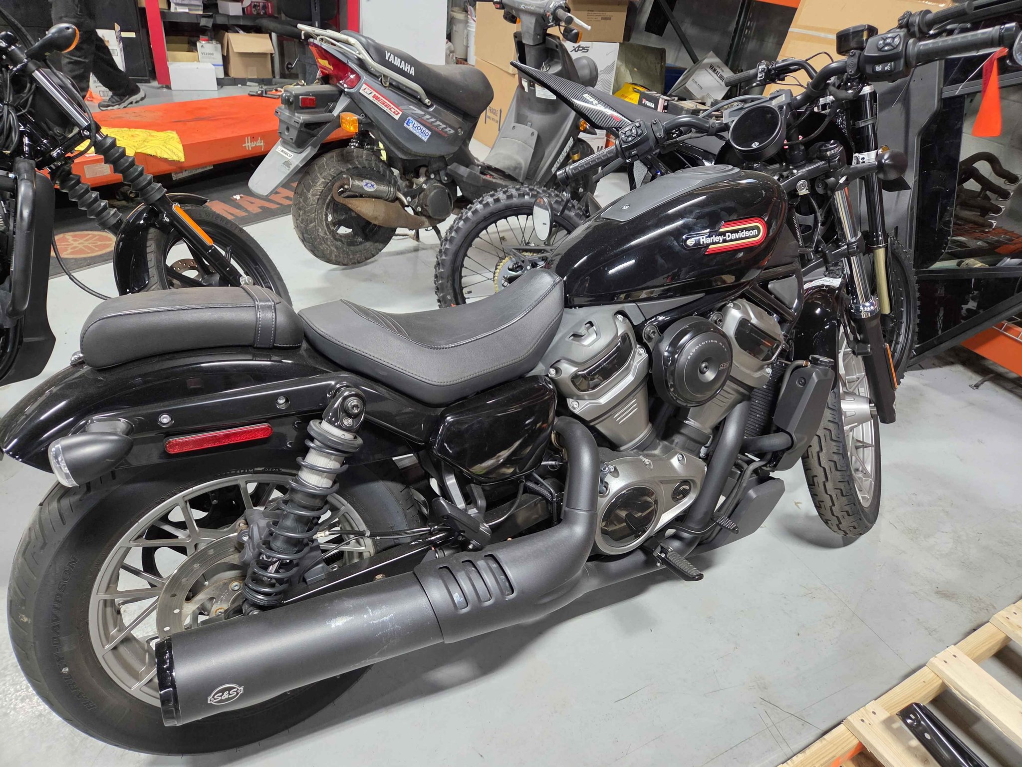 Clean 2023 Harley-davidson nightster. Only $6,999 plus ttf