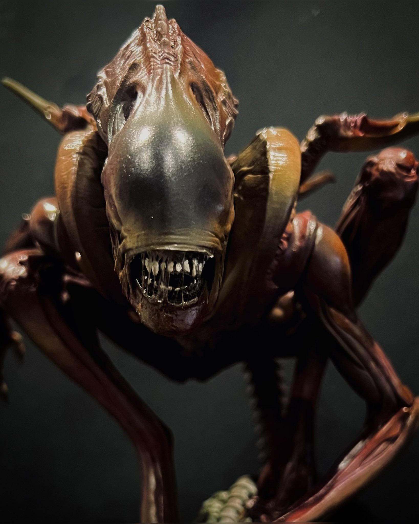 Narin sculpted xeno figure painted by author