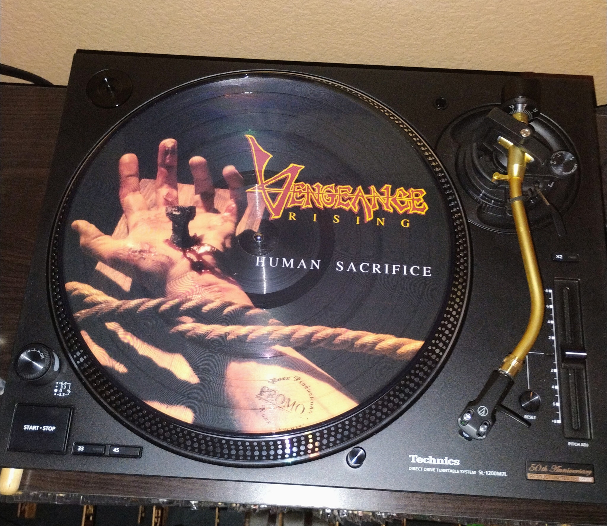 Vengeance -Human sacrifice (picture disc)