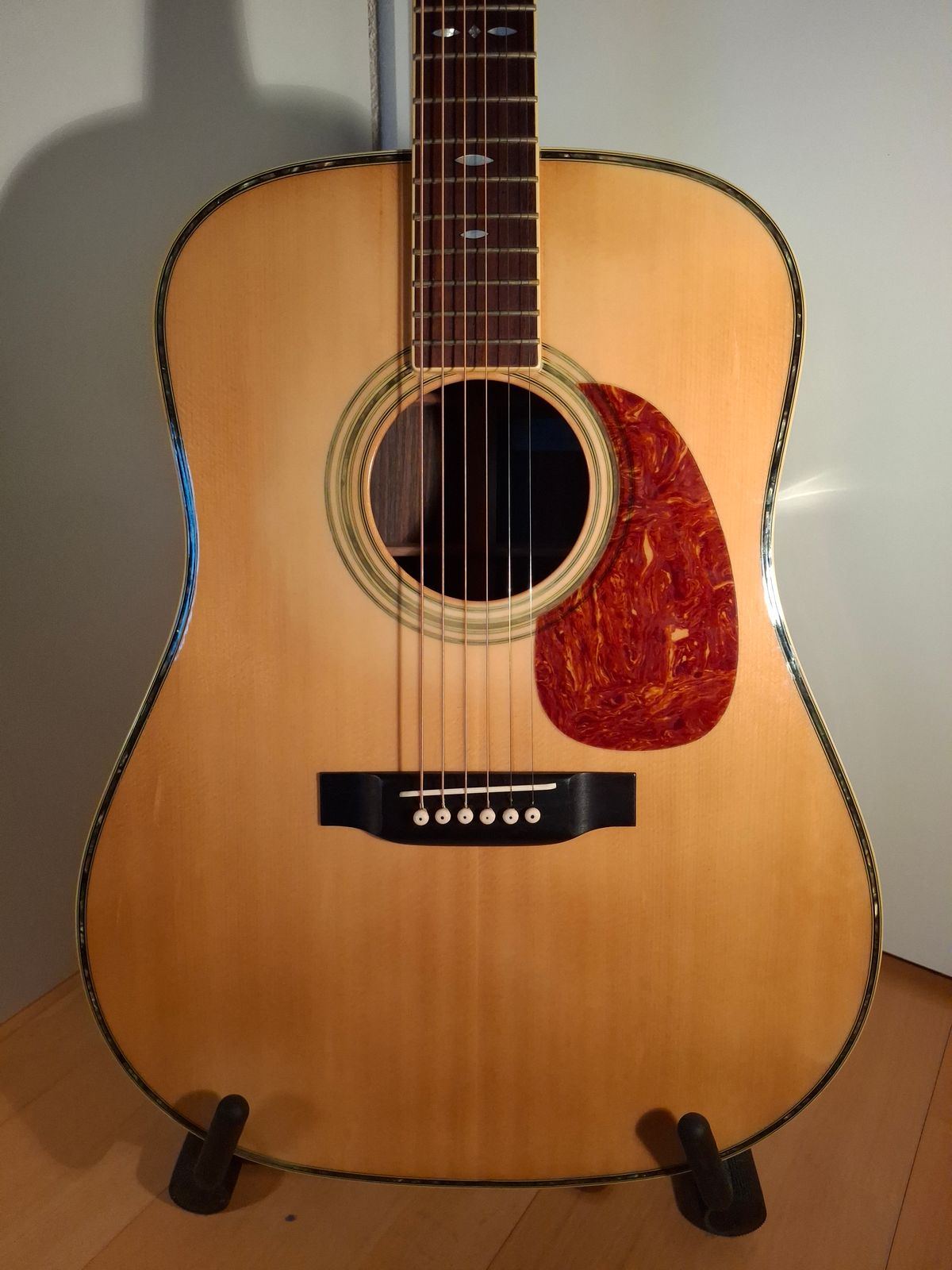 Yamaki Guitar Owners Group - YGOG